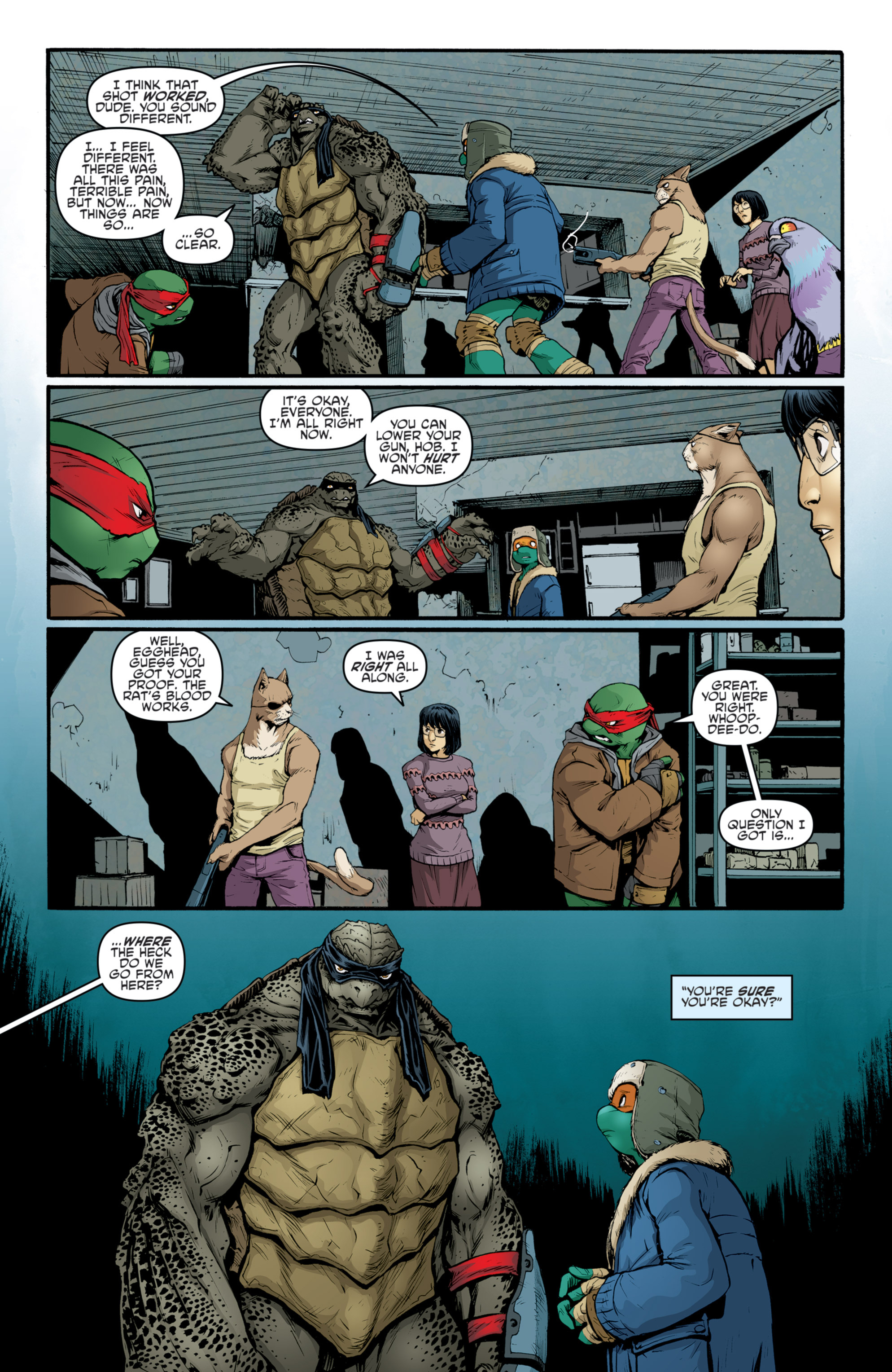 Read online Teenage Mutant Ninja Turtles (2011) comic -  Issue #35 - 25