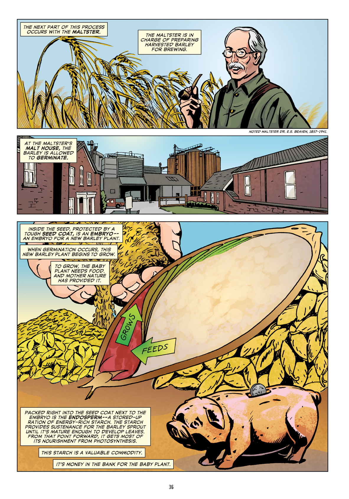 Read online The Comic Book Story of Beer comic -  Issue # Full - 42