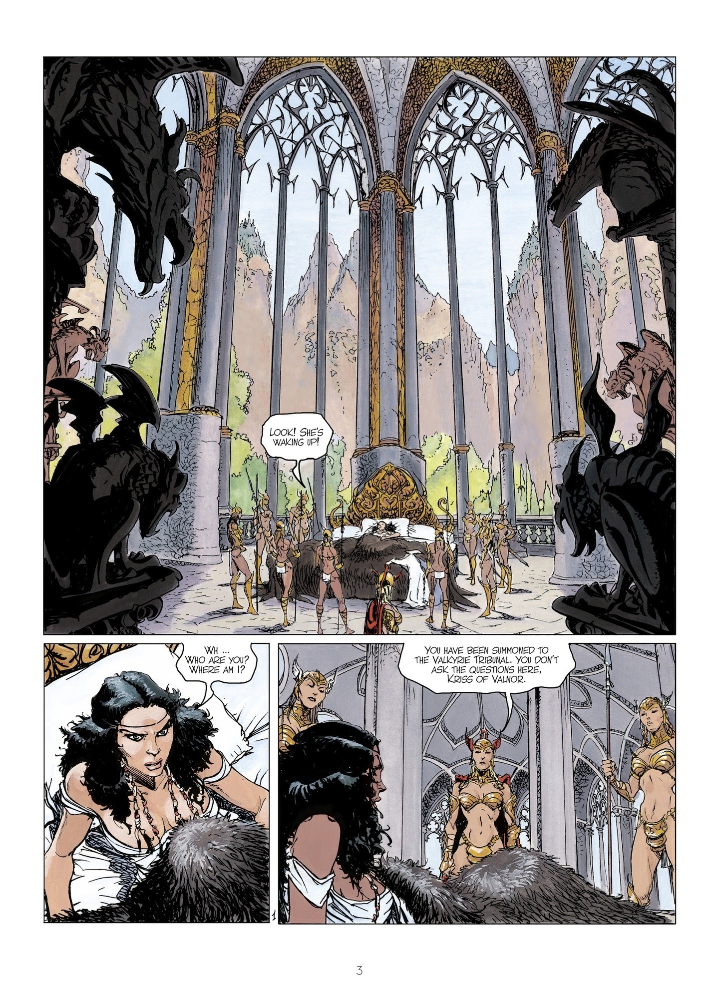 Read online Thorgal - Kriss of Valnor: I Forget Nothing! comic -  Issue # Full - 5