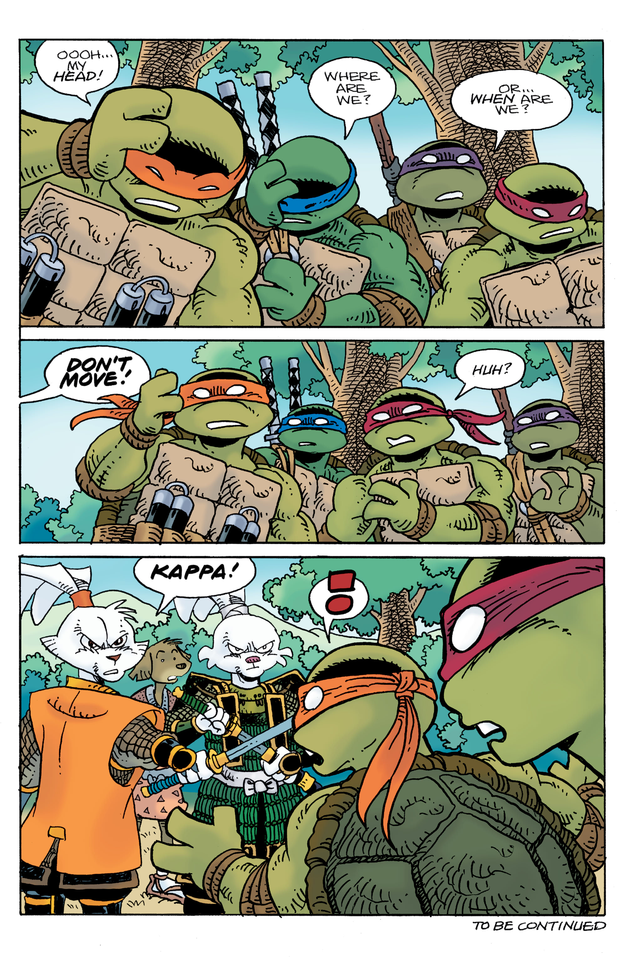 Read online Teenage Mutant Ninja Turtles/Usagi Yojimbo: WhereWhen comic -  Issue #1 - 25