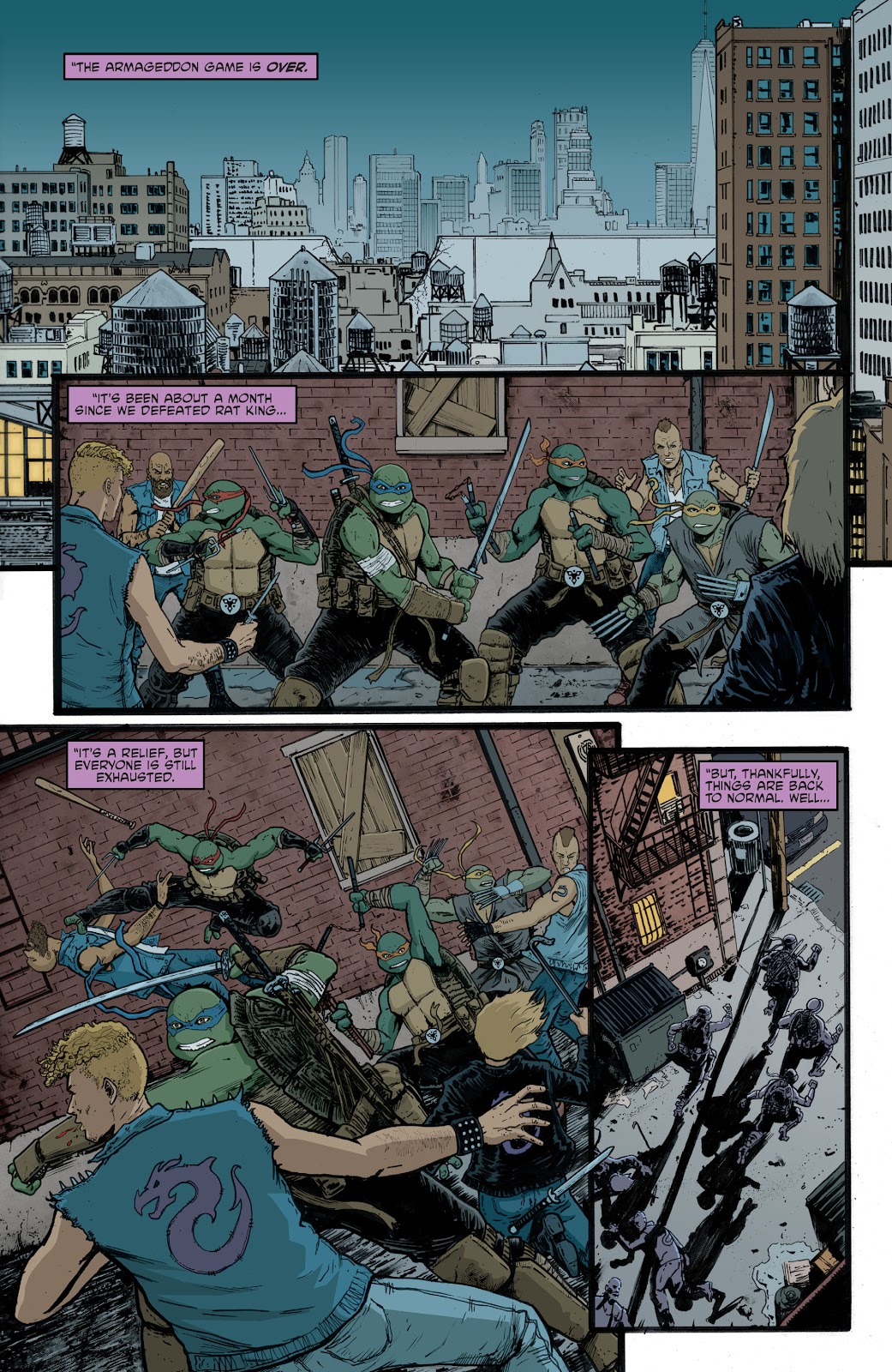 Teenage Mutant Ninja Turtles (2011) issue 140 - Page 3