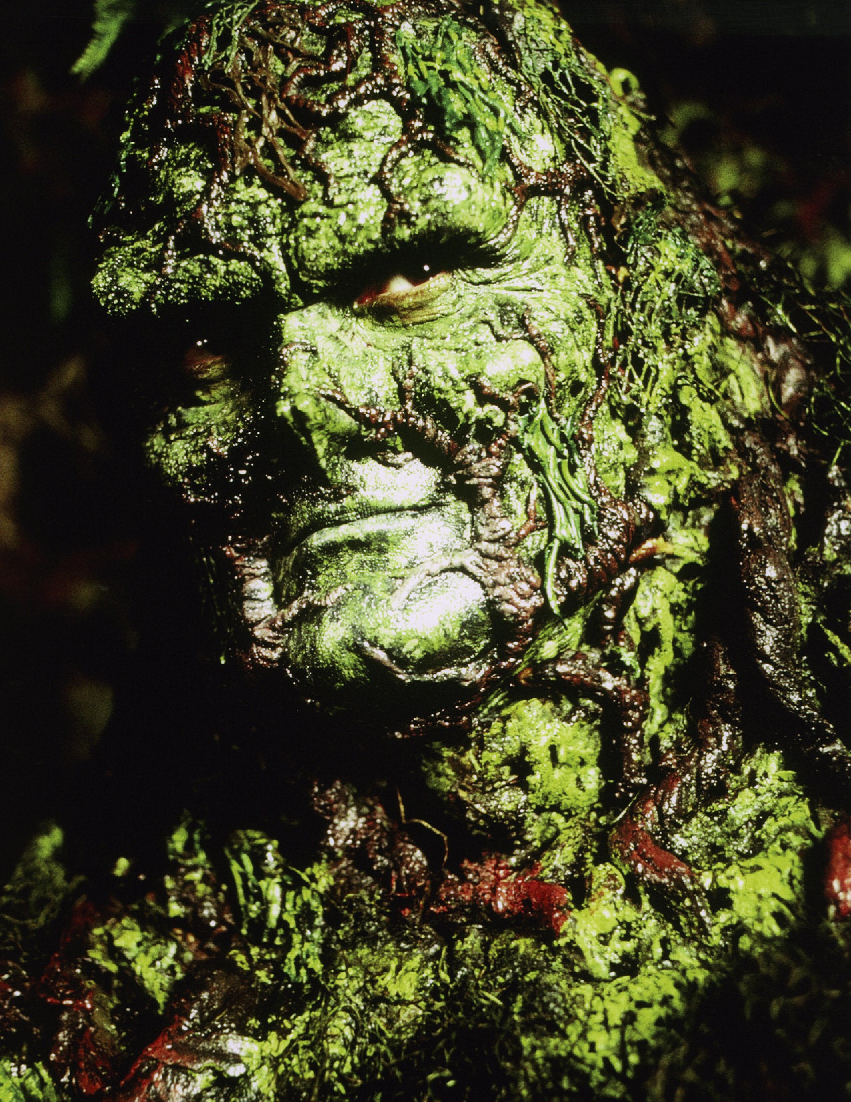 Read online Age Of TV Heroes: The Live-Action Adventures Of Your Favorite Comic Book Characters comic -  Issue # TPB (Part 2) - 46