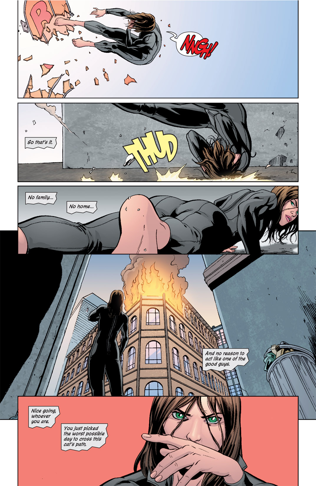 Read online Catwoman (2002) comic -  Issue #72 - 23