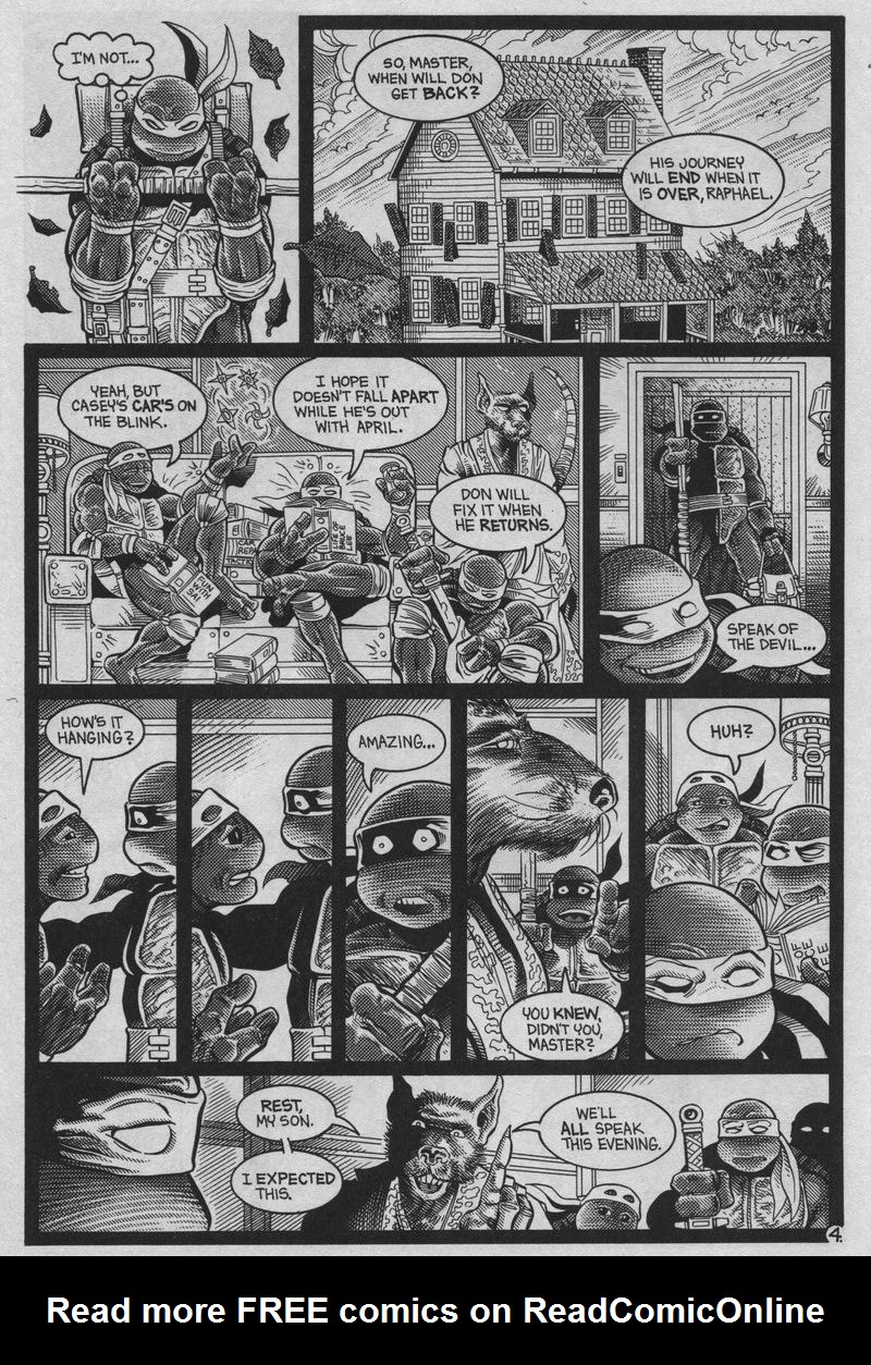 Teenage Mutant Ninja Turtles (1984) Issue #37 #37 - English 5