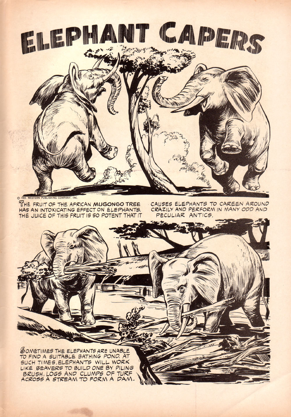 Read online Korak, Son of Tarzan (1964) comic -  Issue #10 - 35