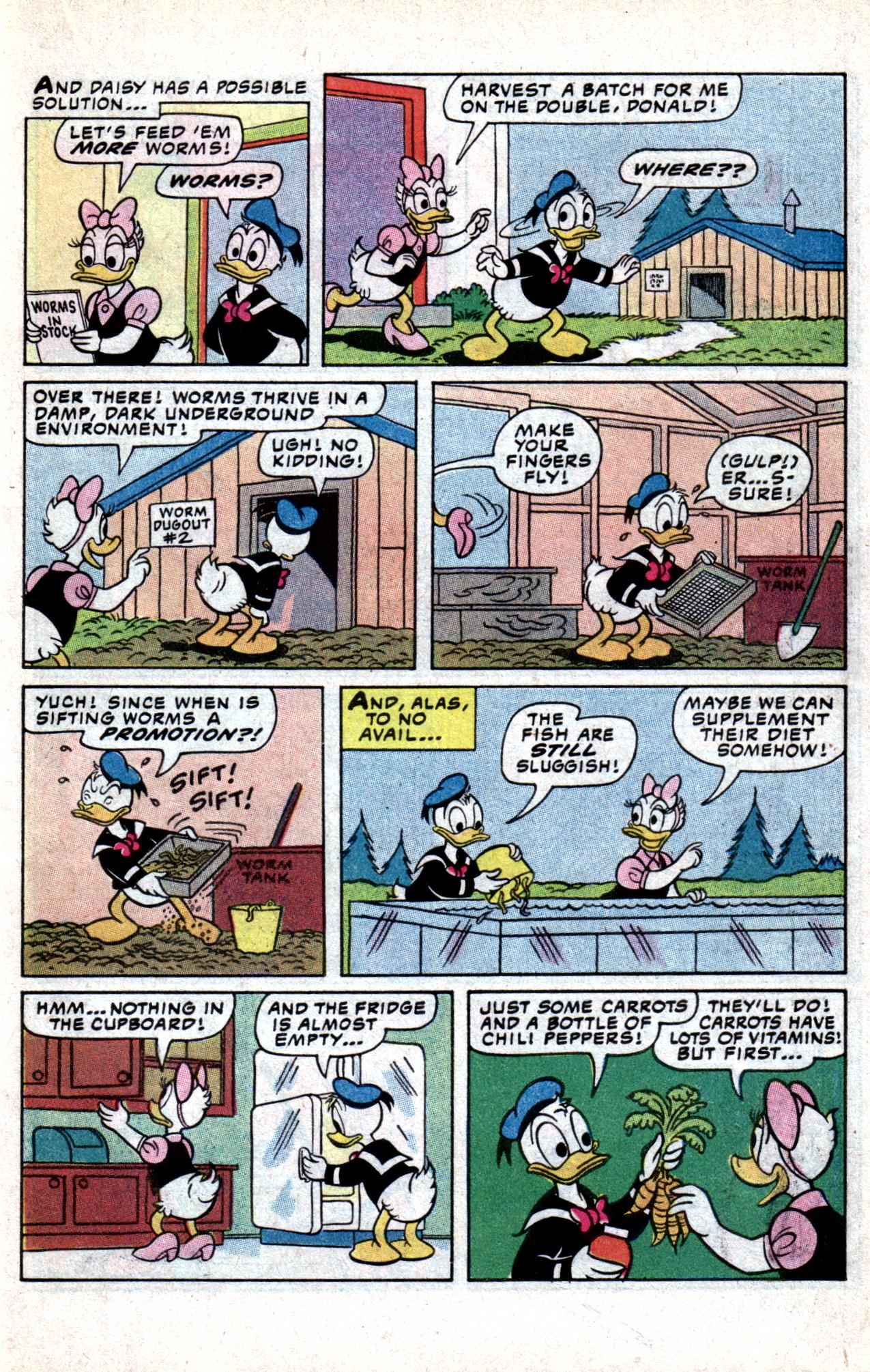 Read online Walt Disney Daisy and Donald comic -  Issue #53 - 14