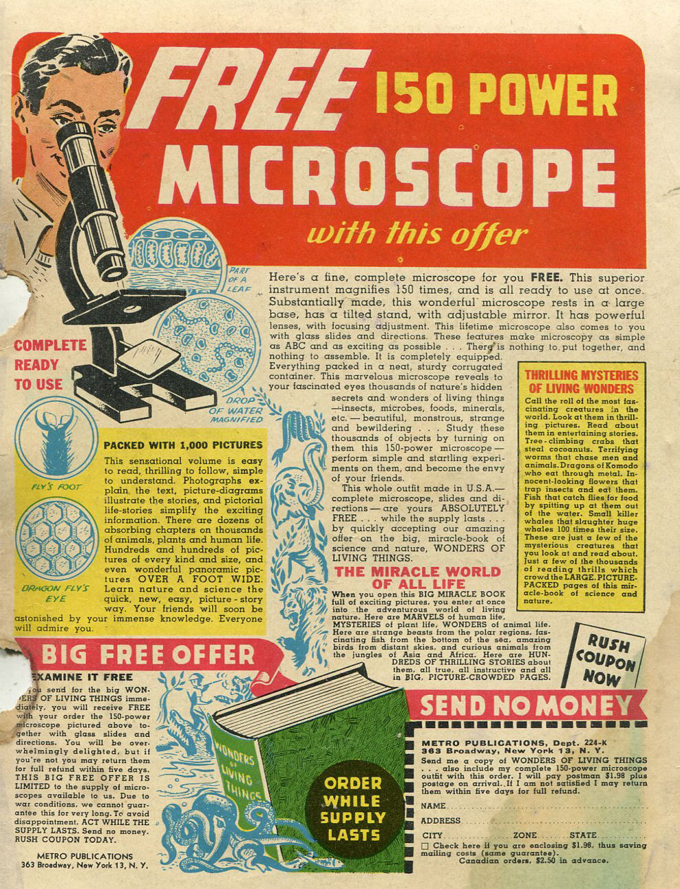 Read online Famous Funnies comic -  Issue #135 - 35