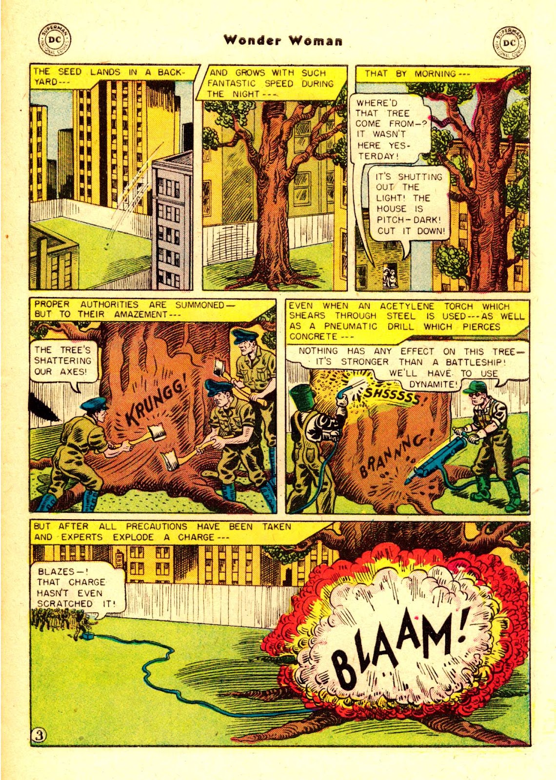 Wonder Woman (1942) issue 84 - Page 28