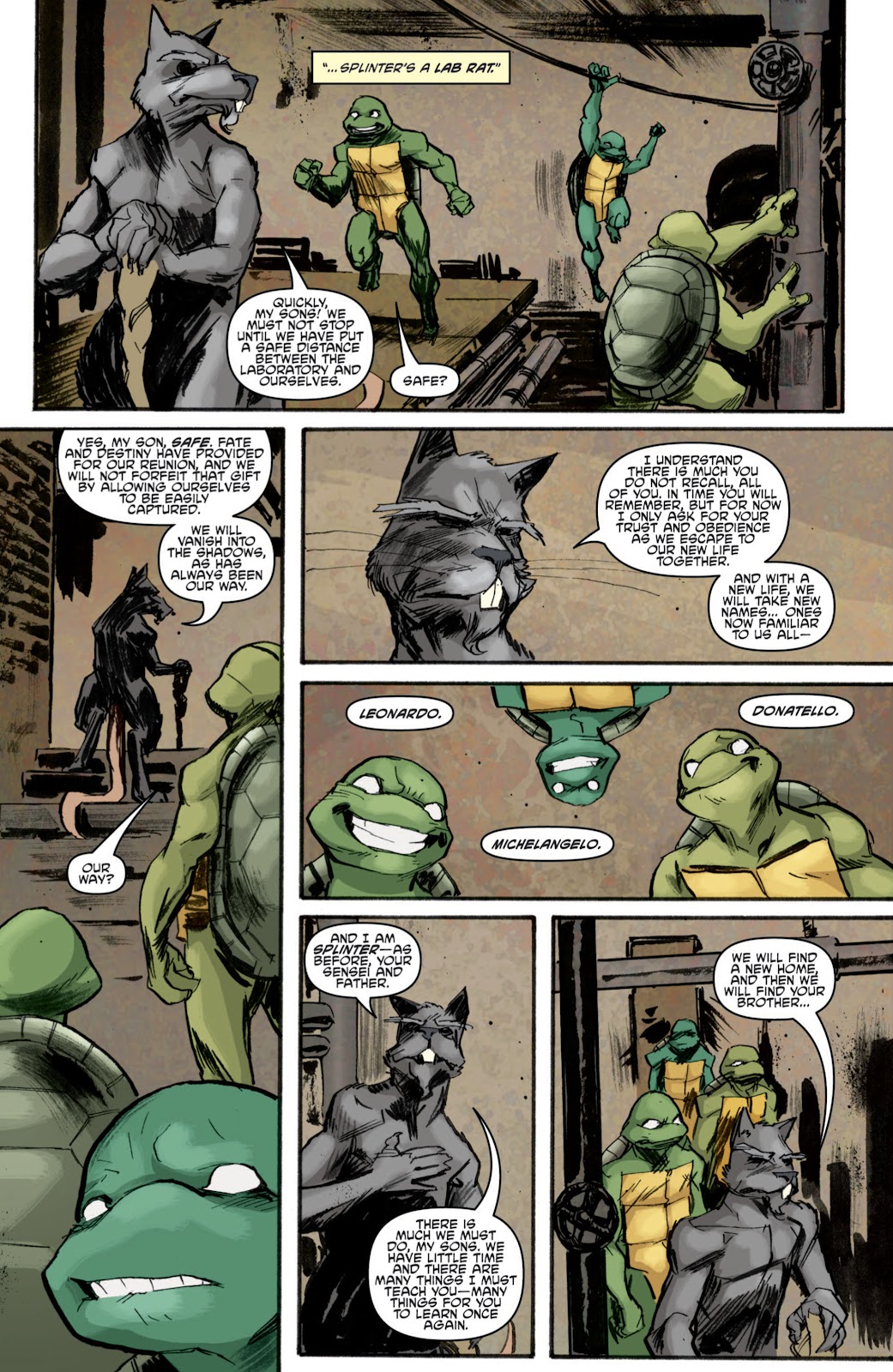 Teenage Mutant Ninja Turtles (2011) issue 4 - Page 13