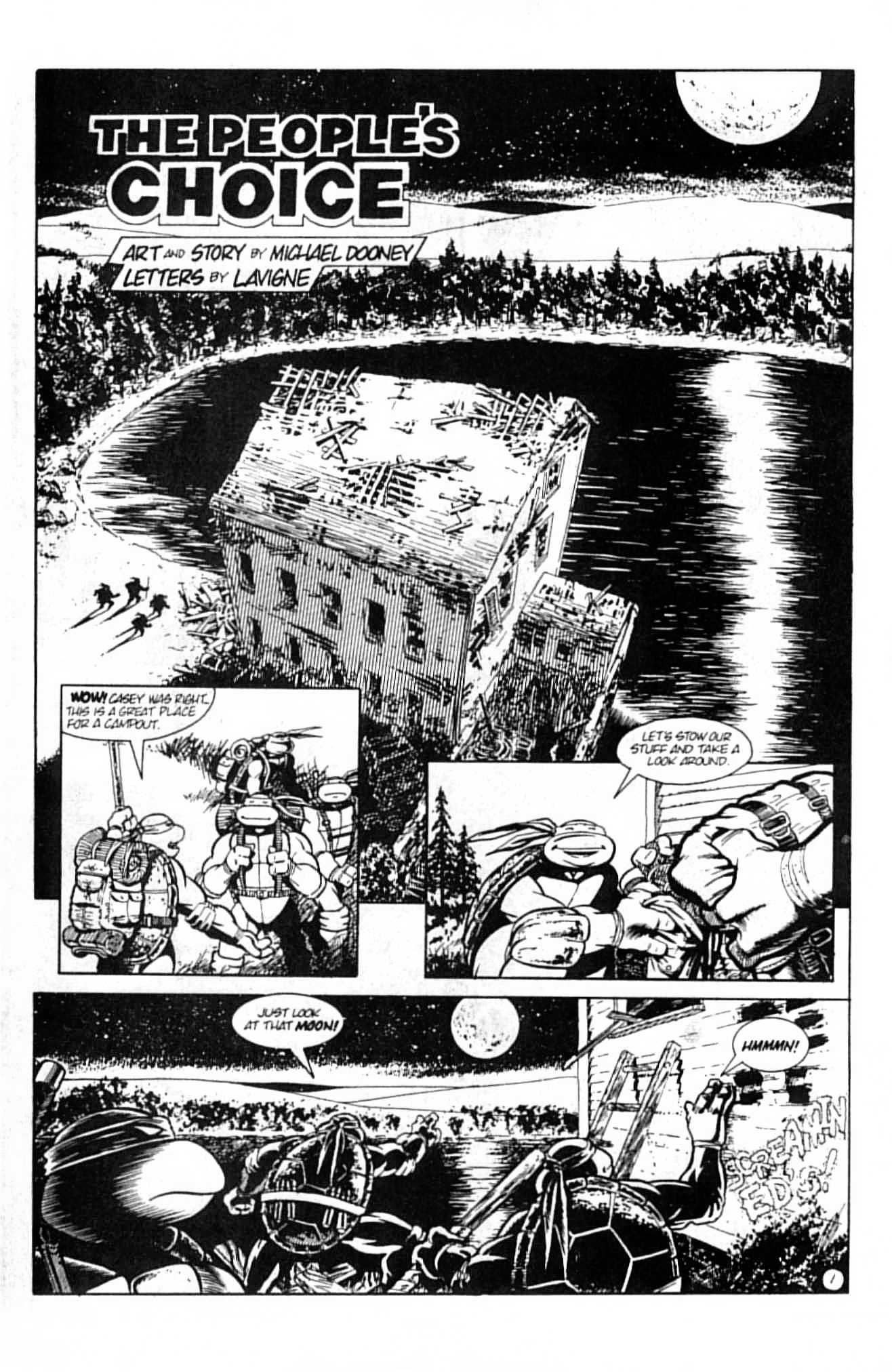Read online Teenage Mutant Ninja Turtles (1984) comic -  Issue #13 - 5