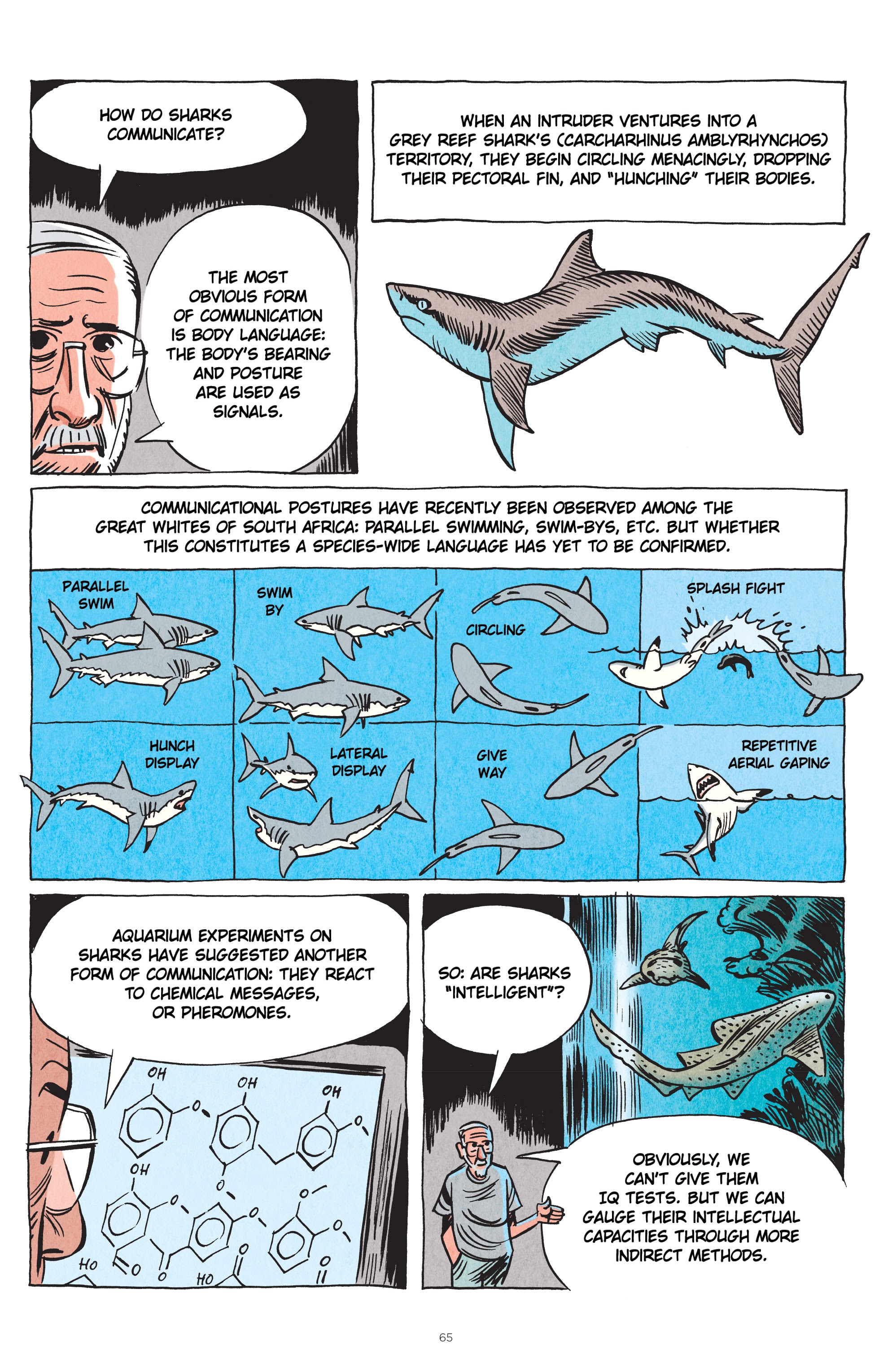 Read online Little Book of Knowledge: Sharks comic -  Issue # TPB - 65