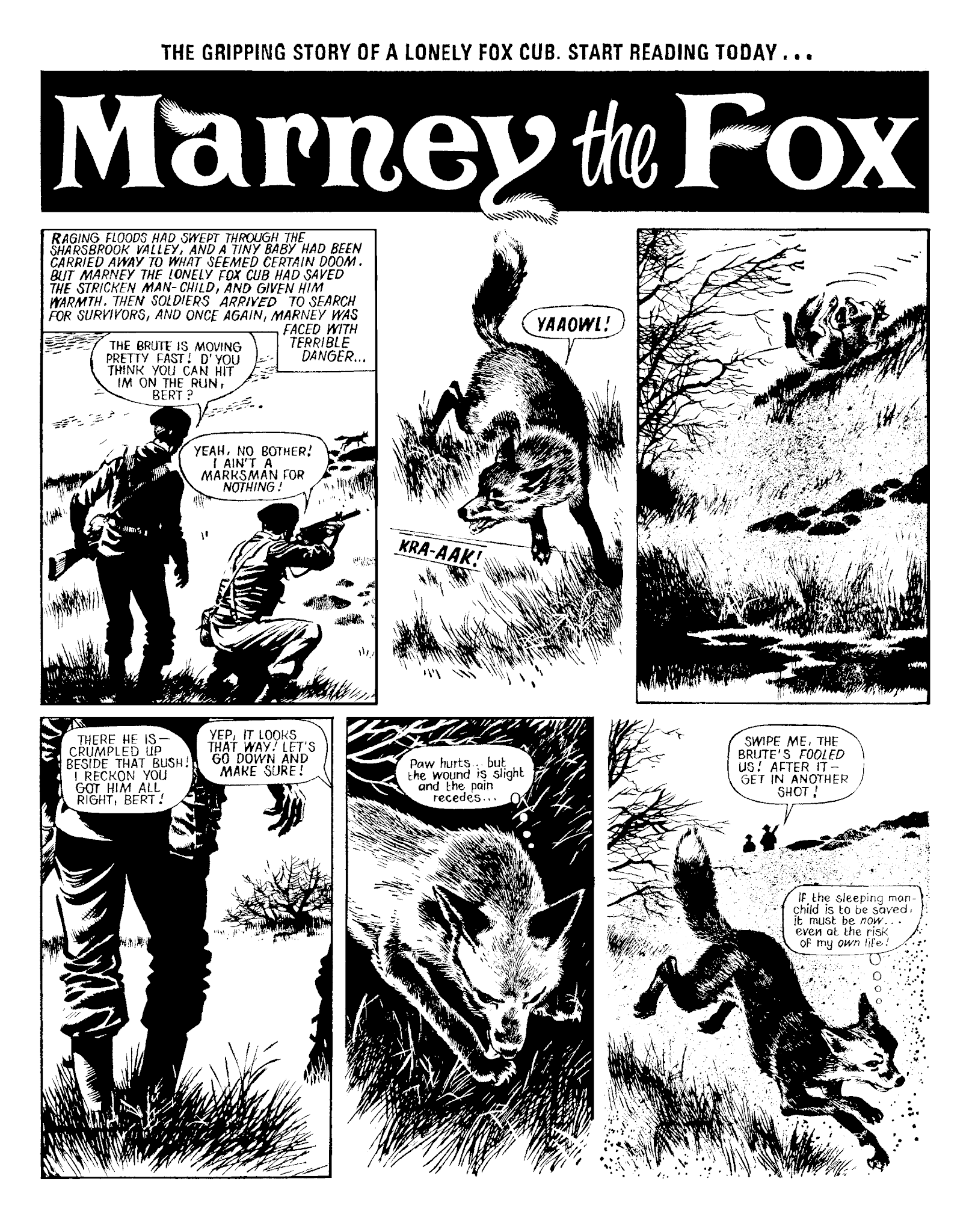 Read online Marney the Fox comic -  Issue # TPB (Part 1) - 27