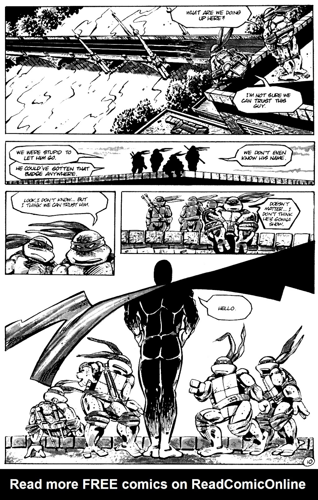 Tales of the Teenage Mutant Ninja Turtles issue 2 - Page 13
