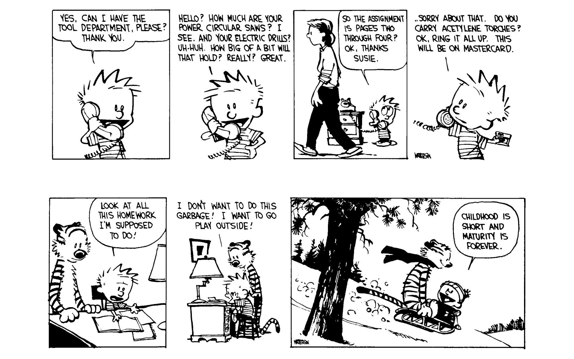 Read online Calvin and Hobbes comic -  Issue #5 - 38