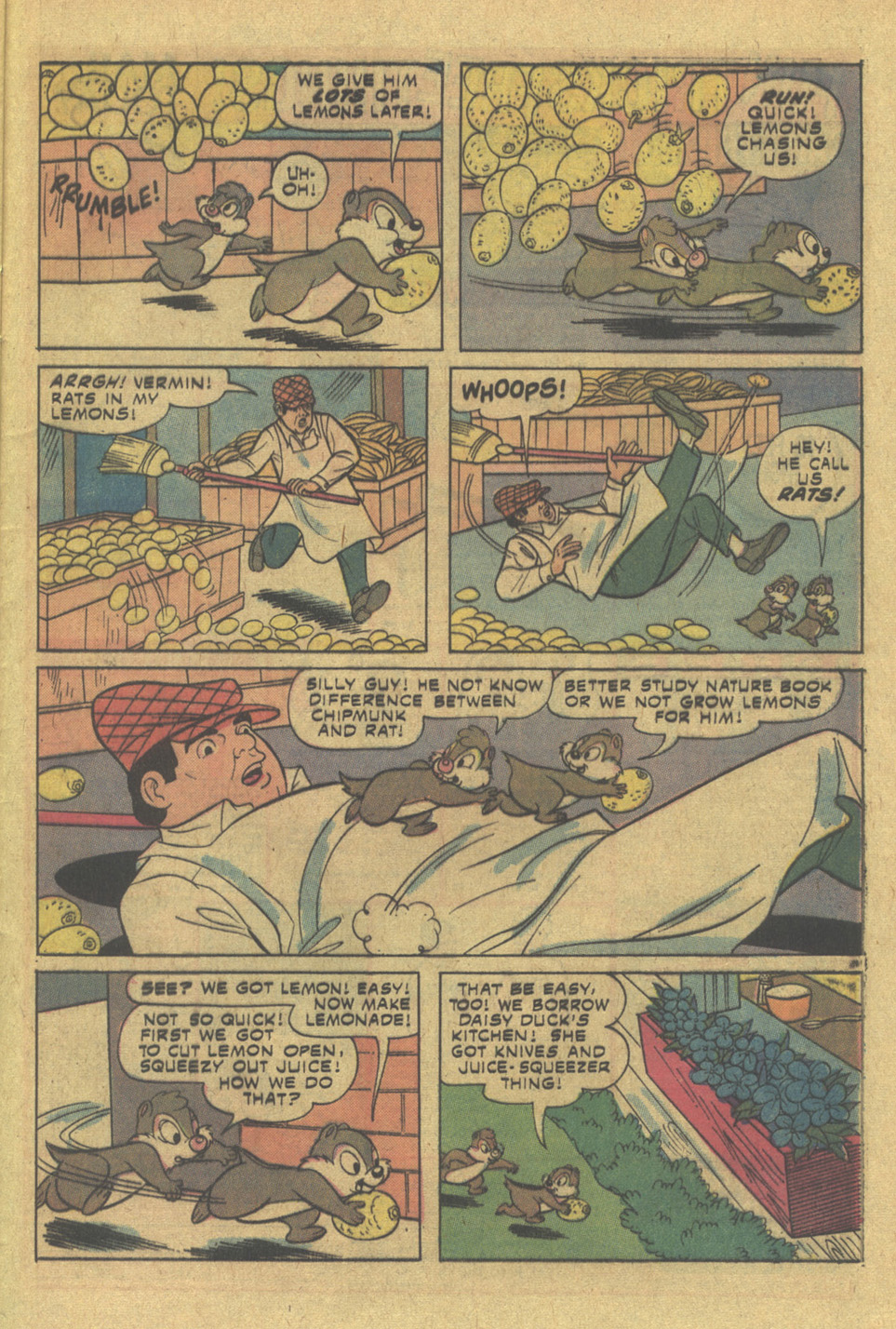 Read online Walt Disney Chip 'n' Dale comic -  Issue #35 - 29
