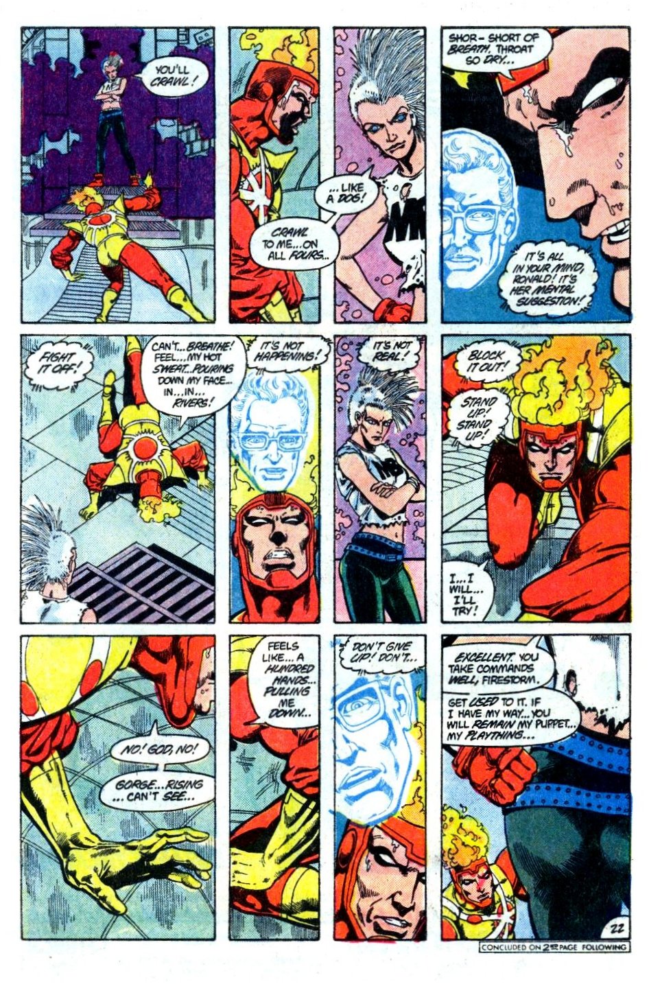 The Fury of Firestorm Issue #30 #34 - English 23