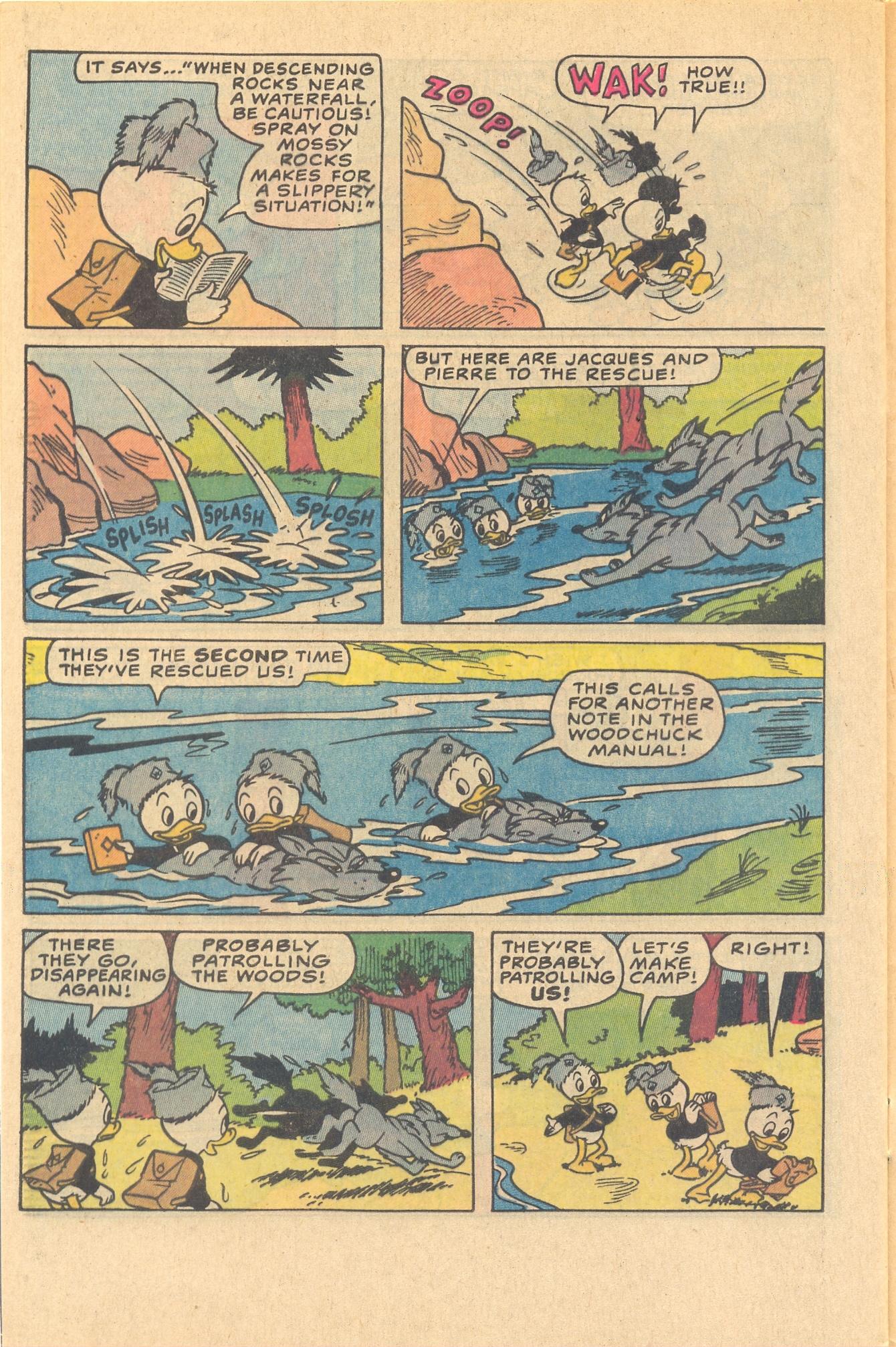 Read online Huey, Dewey, and Louie Junior Woodchucks comic -  Issue #81 - 32