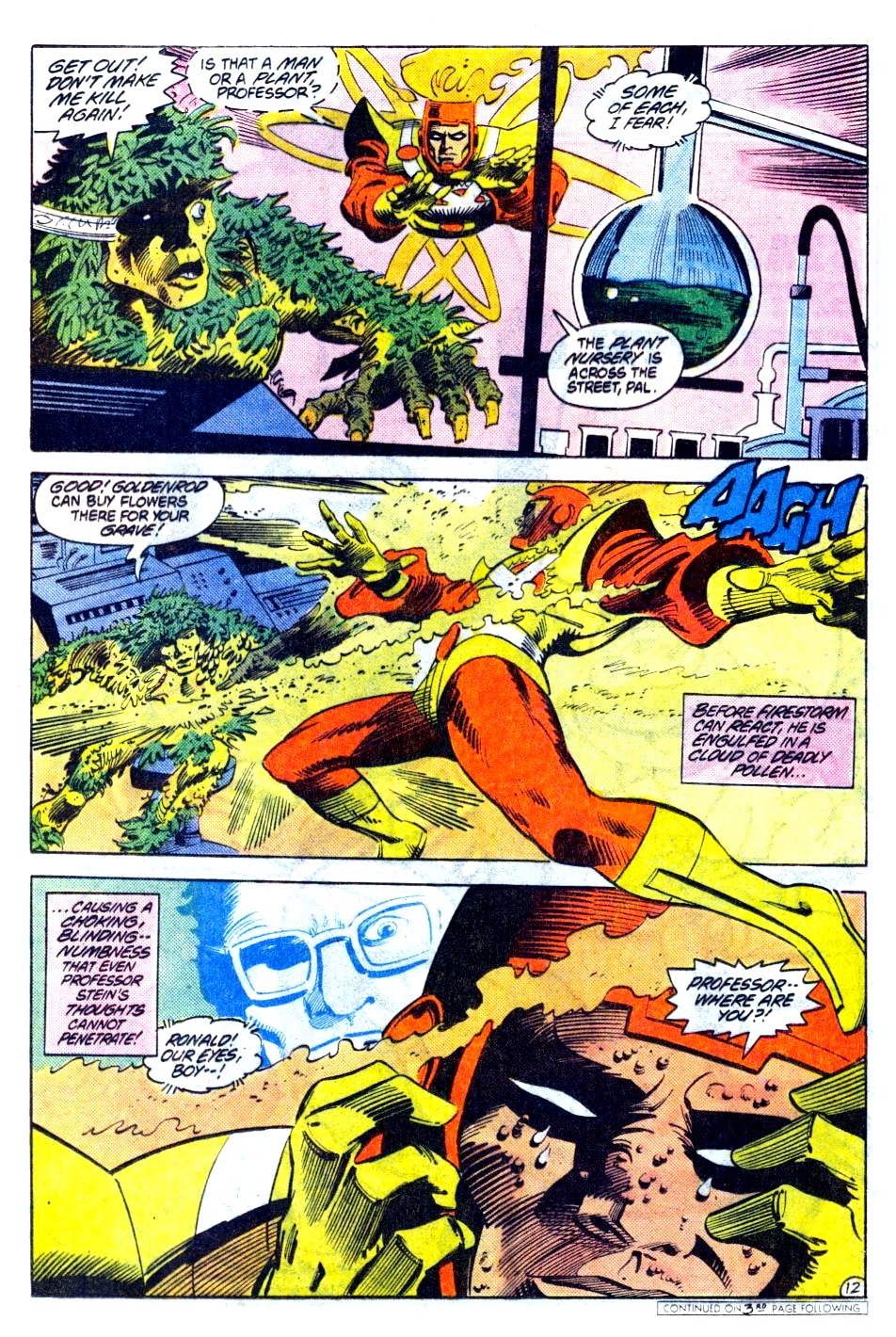 The Fury of Firestorm Issue #19 #23 - English 13