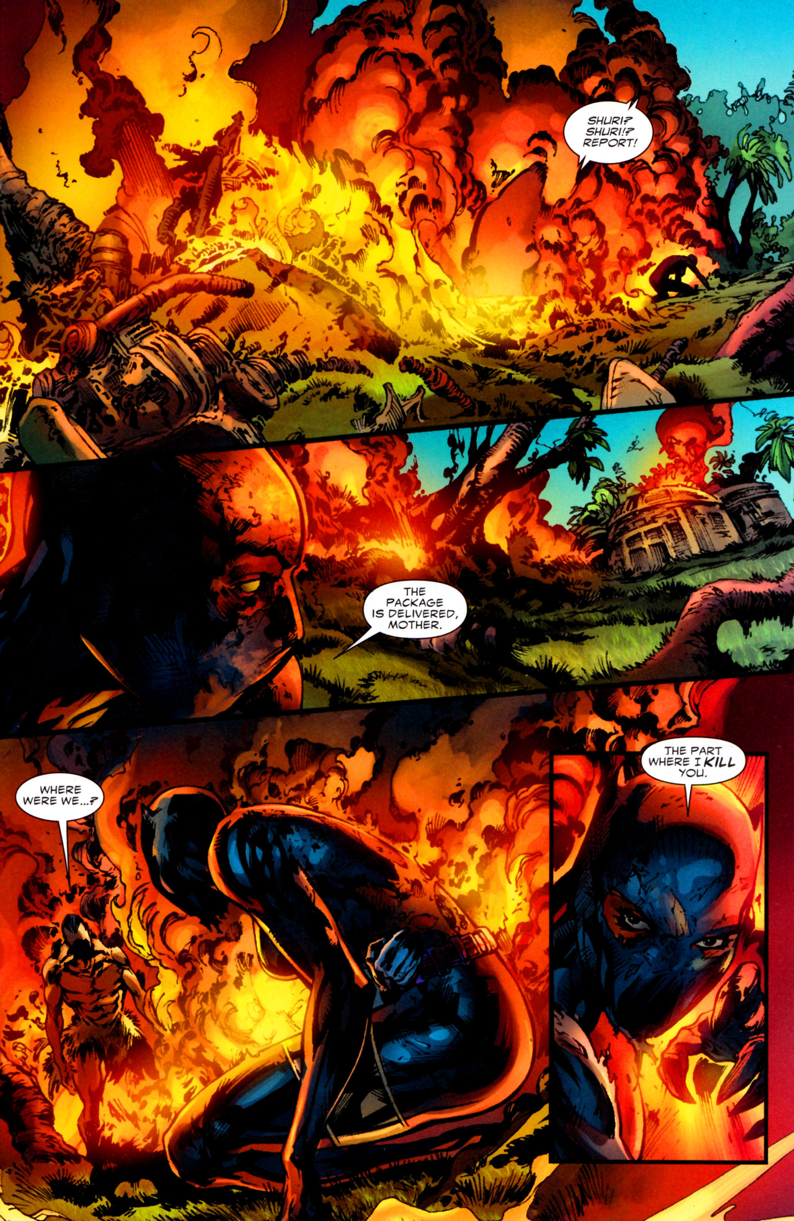 Read online Black Panther (2009) comic -  Issue #6 - 20