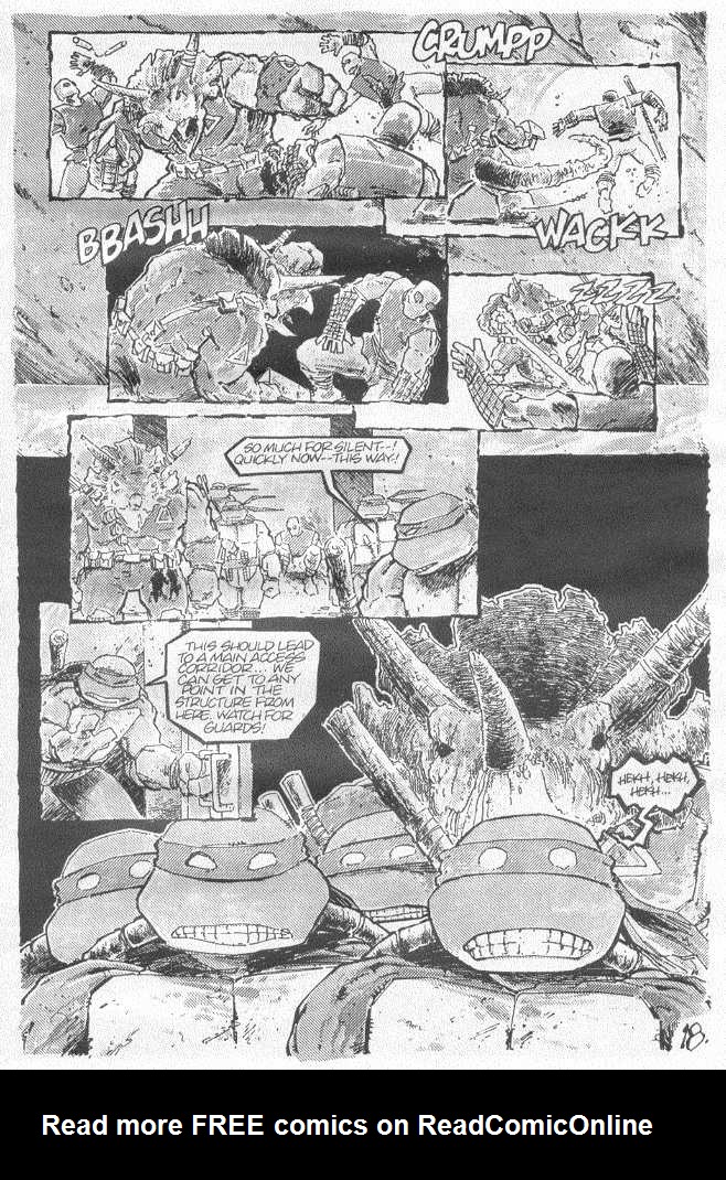 Read online Teenage Mutant Ninja Turtles (1984) comic -  Issue #20 - 19
