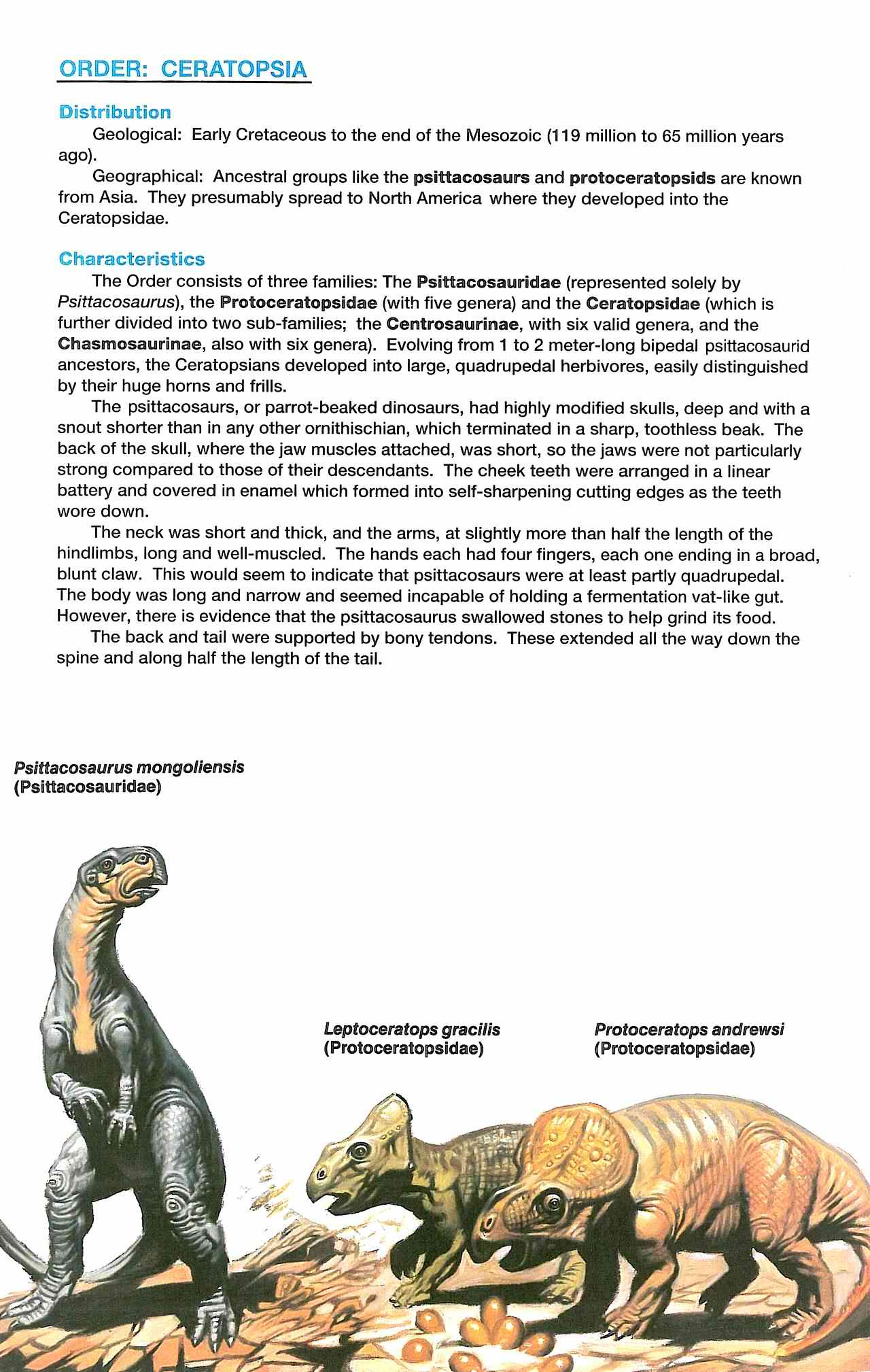 Read online Dinosaurs, A Celebration comic -  Issue #4 - 24