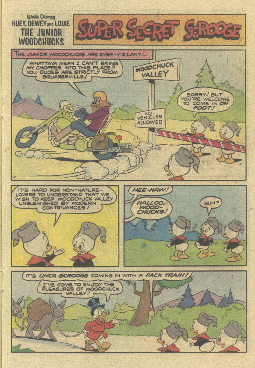Read online Huey, Dewey, and Louie Junior Woodchucks comic -  Issue #51 - 15
