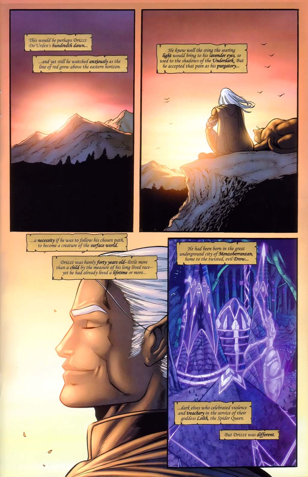 Read online Forgotten Realms: Sojourn comic -  Issue #1 - 3