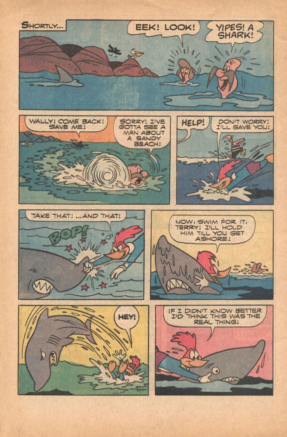 Read online Walter Lantz Woody Woodpecker (1962) comic -  Issue #119 - 31