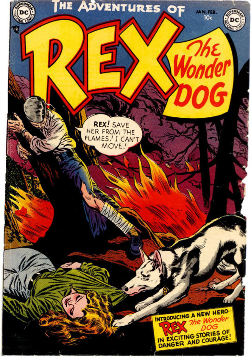 Read online The Adventures of Rex the Wonder Dog comic -  Issue #1 - 1