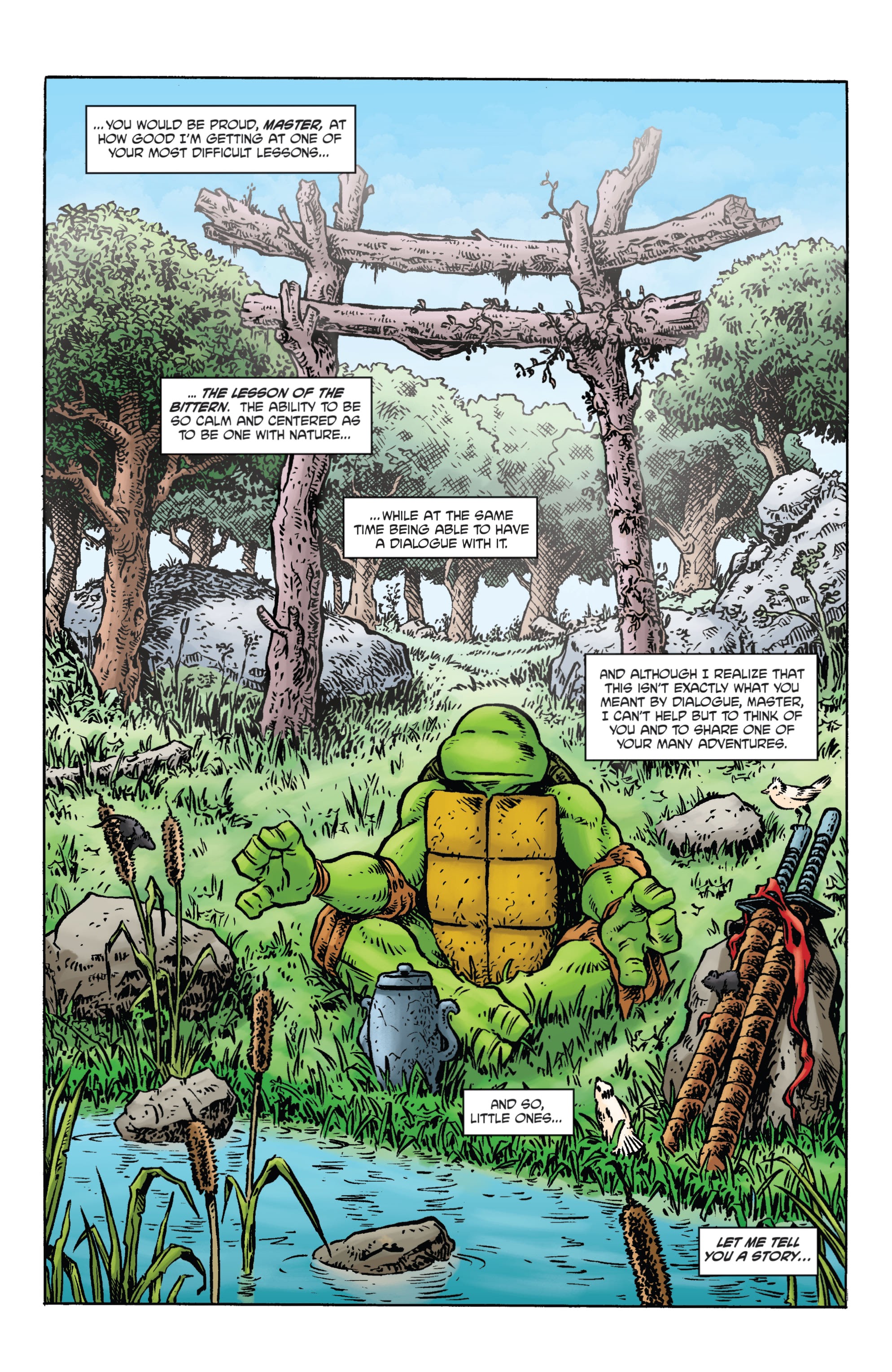 Read online Teenage Mutant Ninja Turtles: Best Of comic -  Issue # Splinter - 27