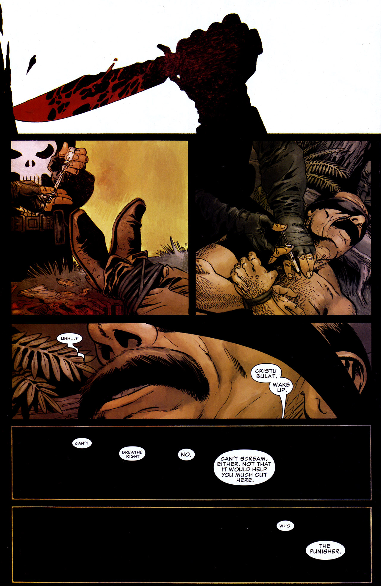 The Punisher (2004) Issue #28 #28 - English 21