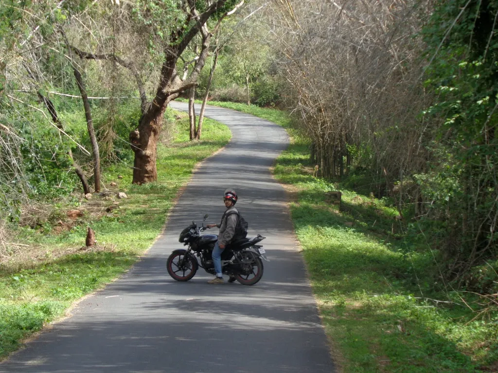 134) Bettamugilalam Aiyur Forest (7/8/2016)