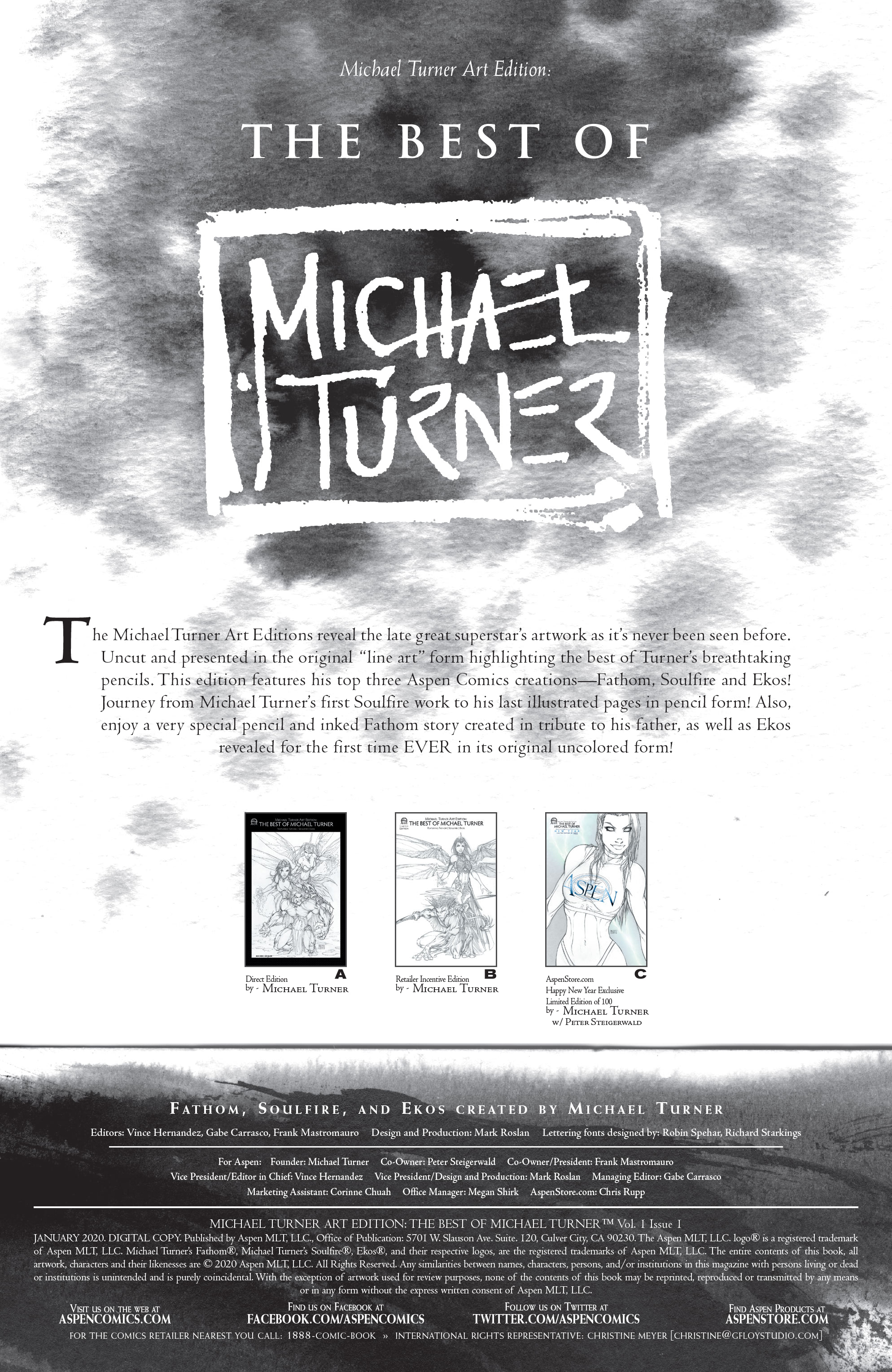 Read online Michael Turner Art Edition: The Best of Michael Turner comic -  Issue # Full - 2