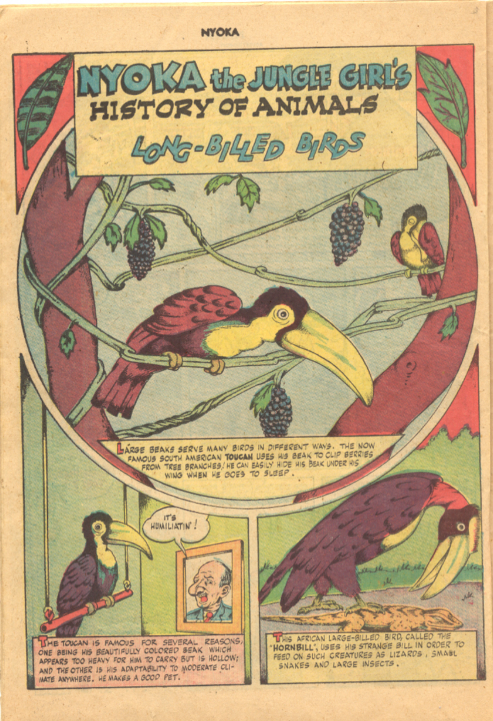 Read online Nyoka the Jungle Girl (1945) comic -  Issue #24 - 22