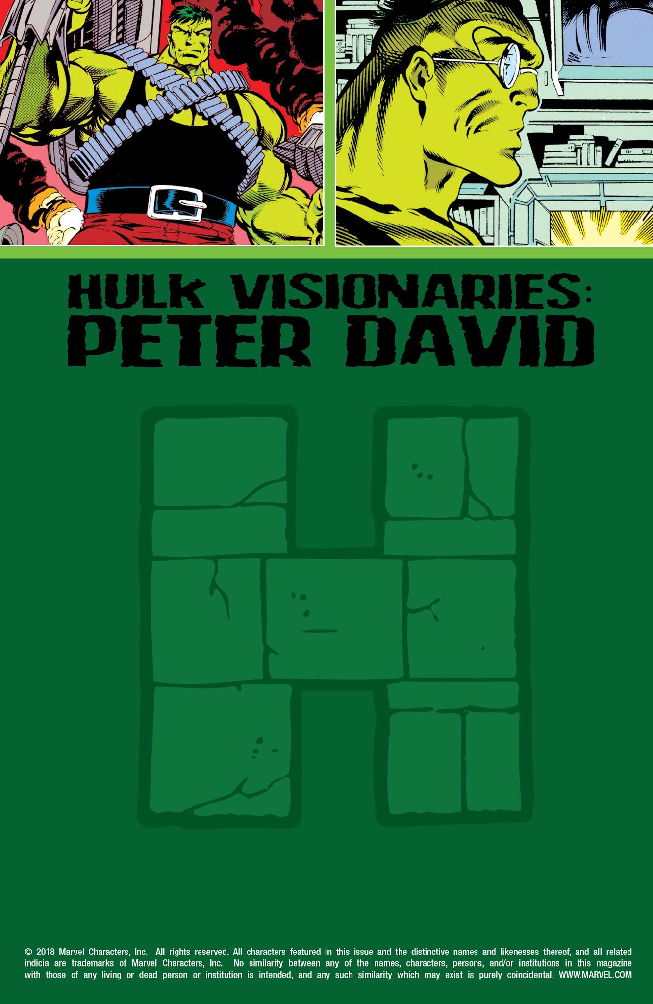 Read online Hulk Visionaries: Peter David comic -  Issue # TPB 8 (Part 1) - 2