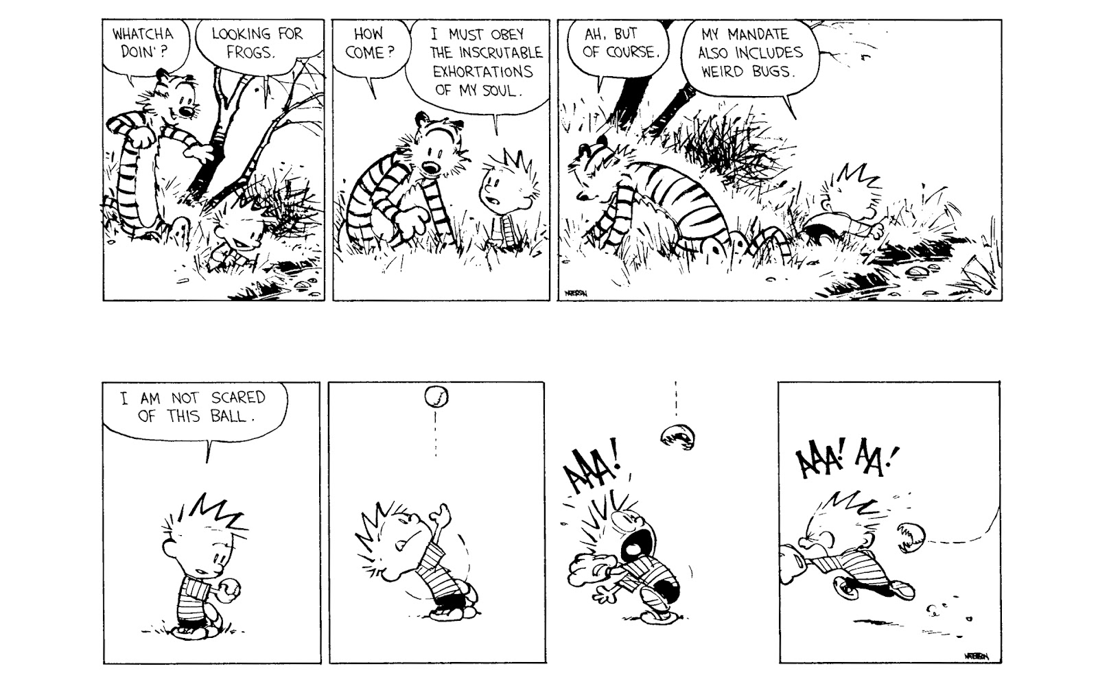 Calvin and Hobbes issue 10 - Page 167