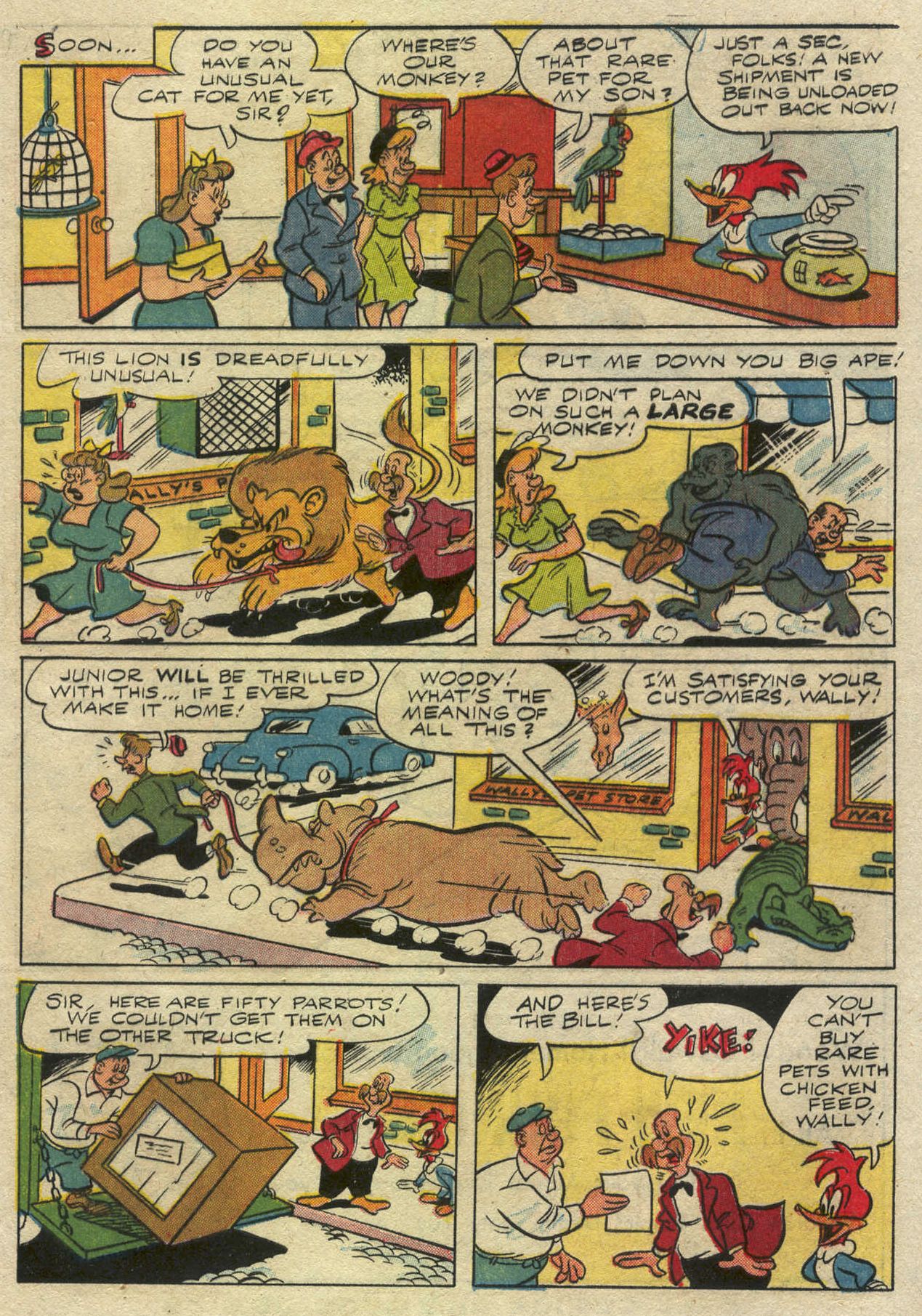 Read online Walter Lantz Woody Woodpecker (1952) comic -  Issue #32 - 33