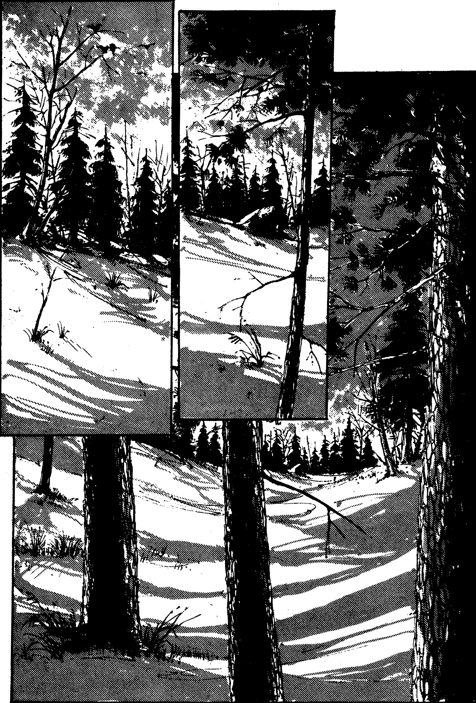 Read online Teenage Mutant Ninja Turtles (1984) comic -  Issue #31 - 19