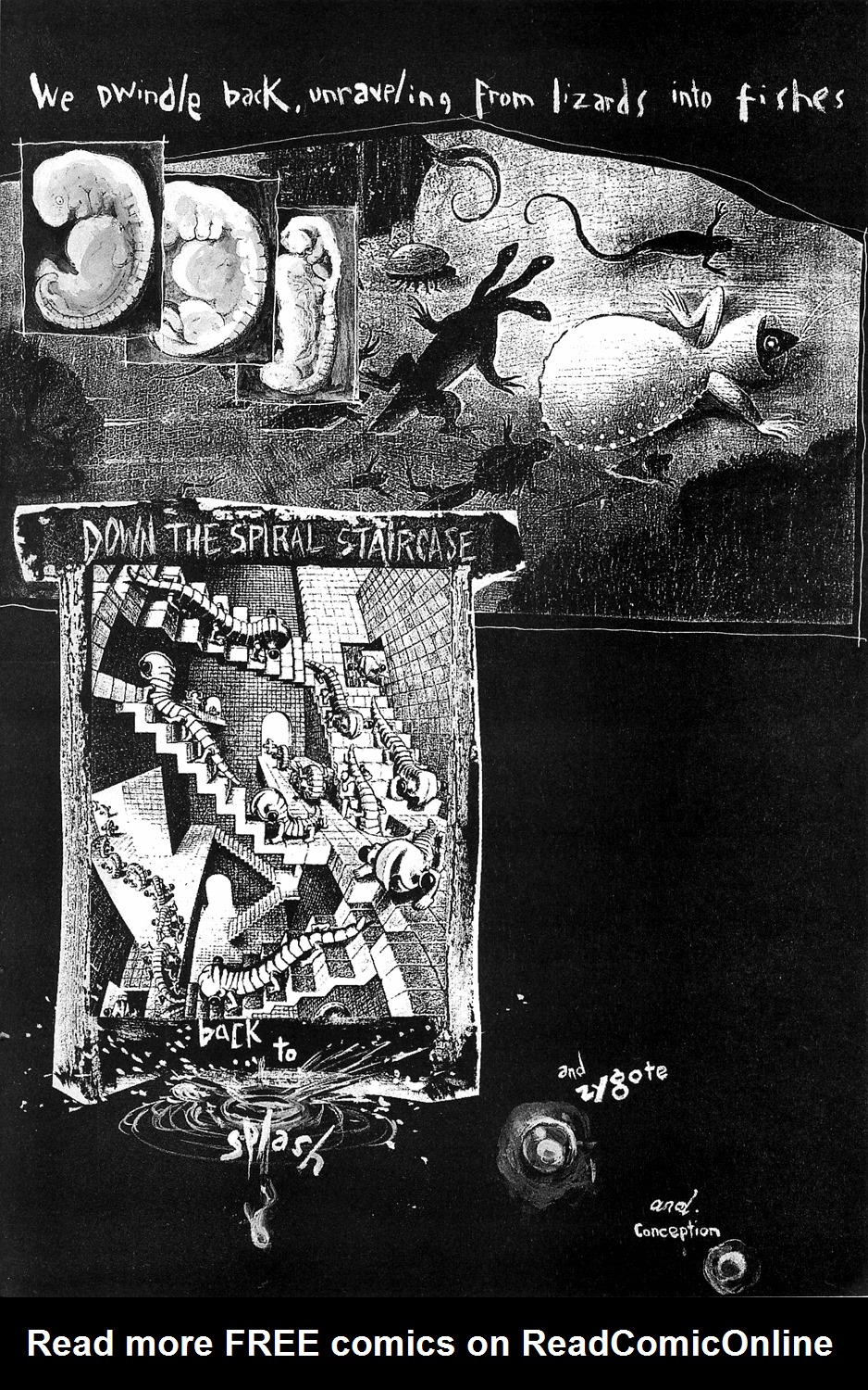 Read online The Birth Caul comic -  Issue # Full - 47