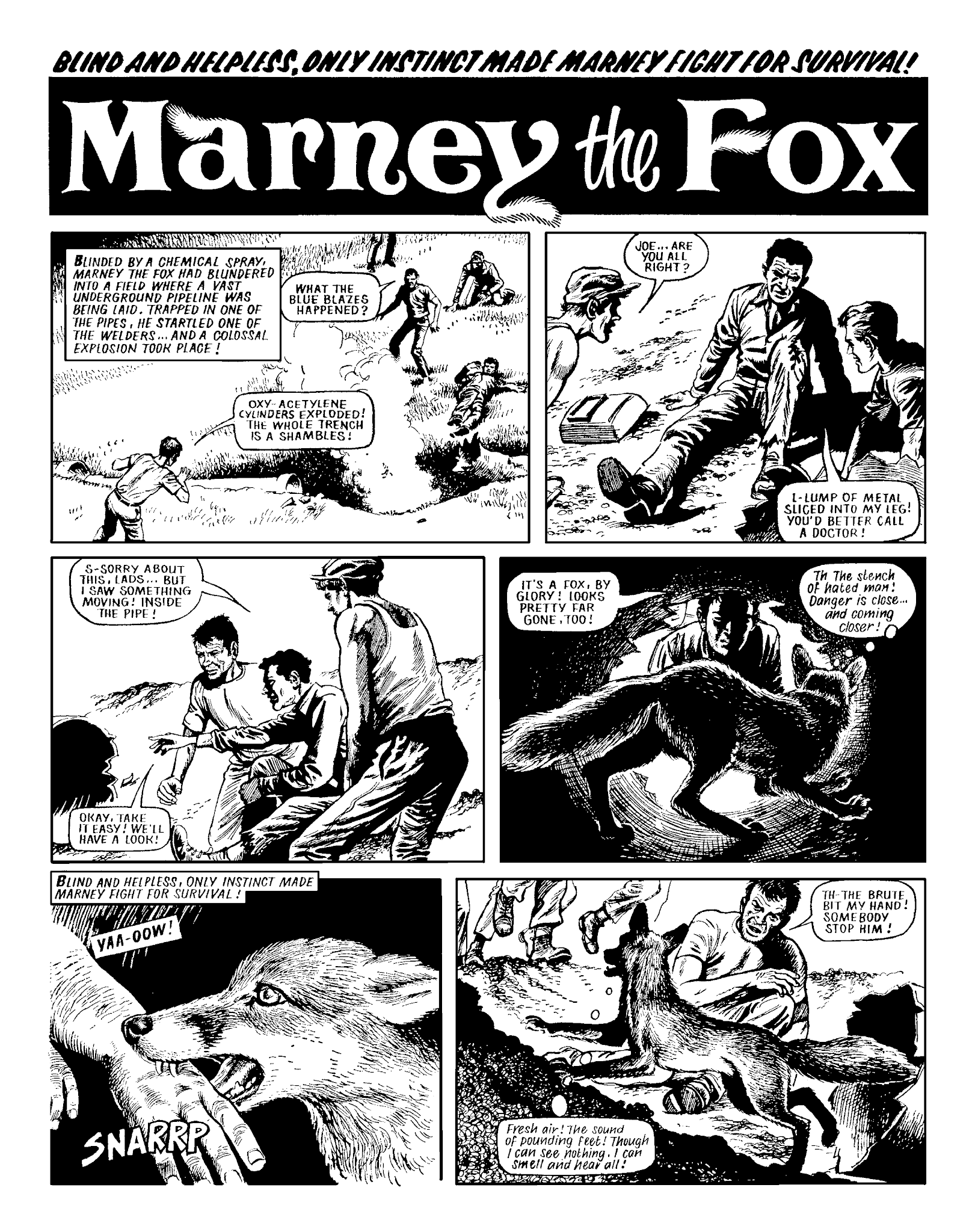 Read online Marney the Fox comic -  Issue # TPB (Part 2) - 122