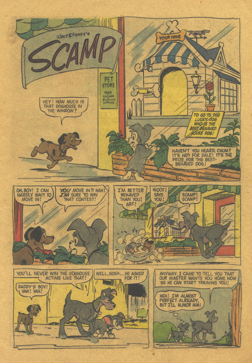 Read online Walt Disney's Comics and Stories comic -  Issue #216 - 13