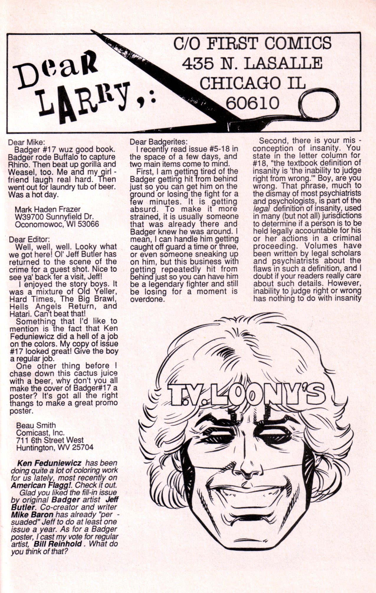 Read online The Badger comic -  Issue #21 - 29