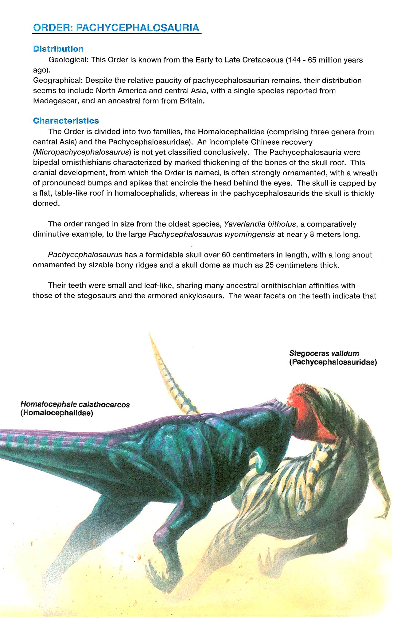 Read online Dinosaurs, A Celebration comic -  Issue #3 - 31