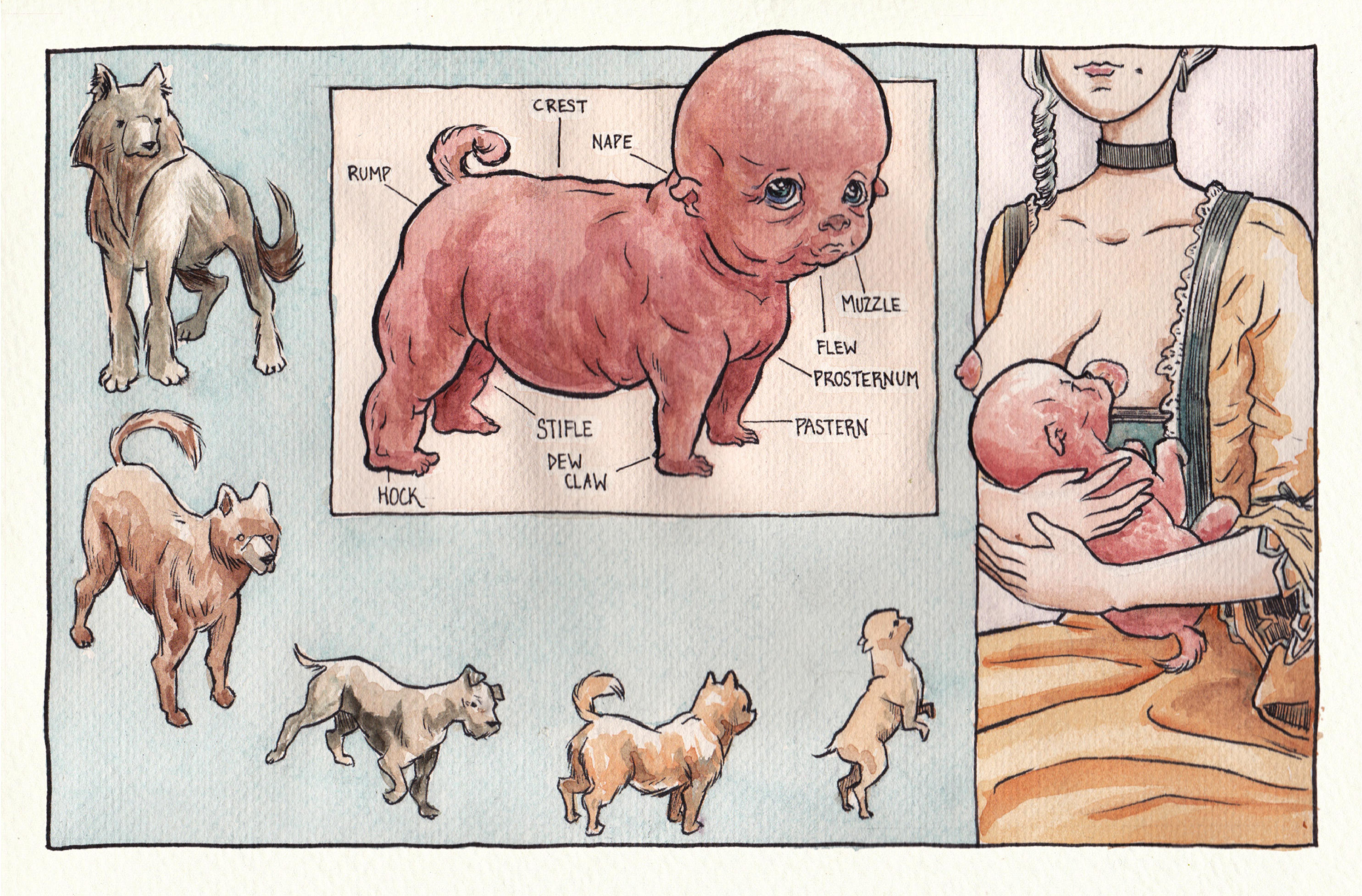 Read online Vivisectionary comic -  Issue # TPB - 14