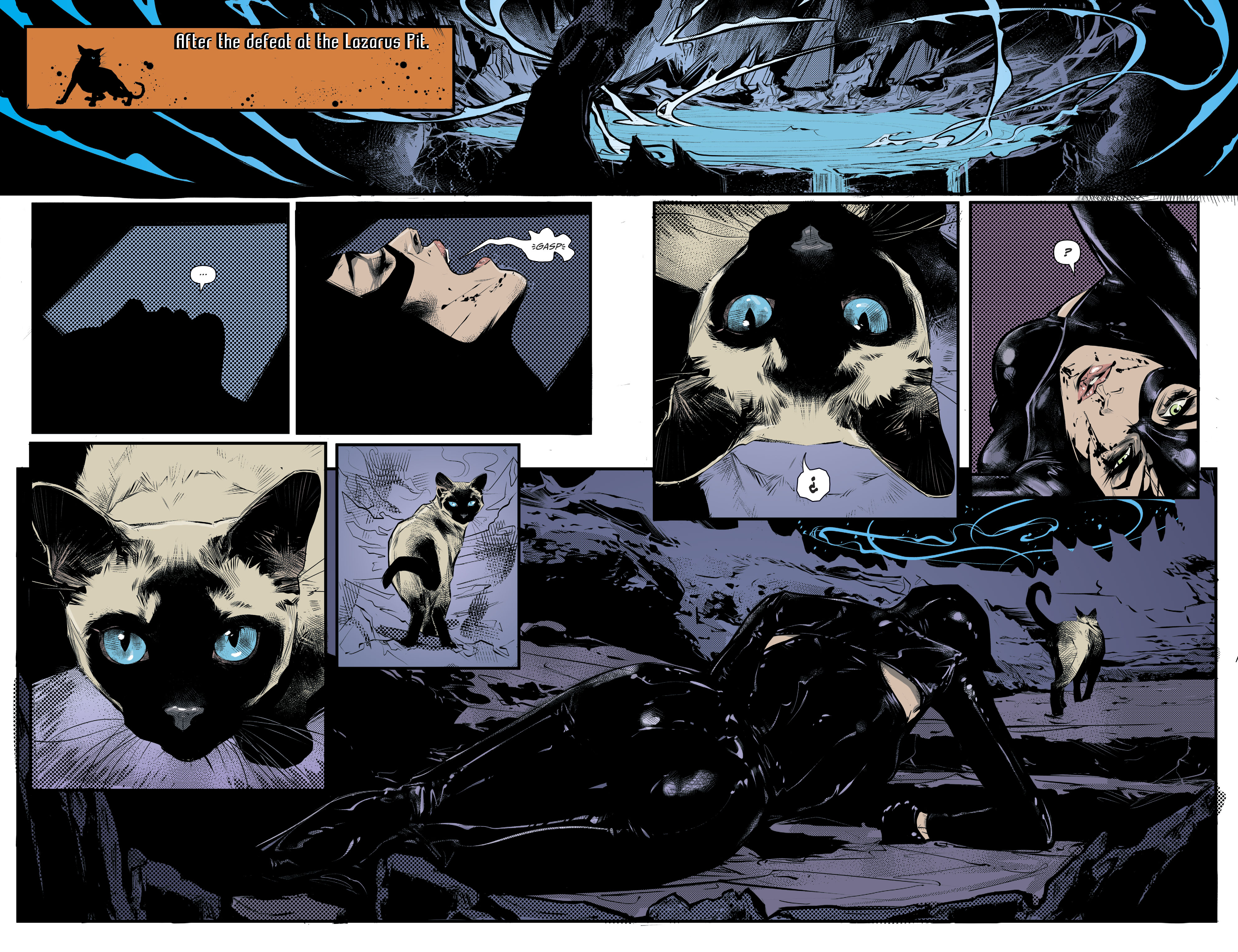 Read online Catwoman (2018) comic -  Issue #16 - 17