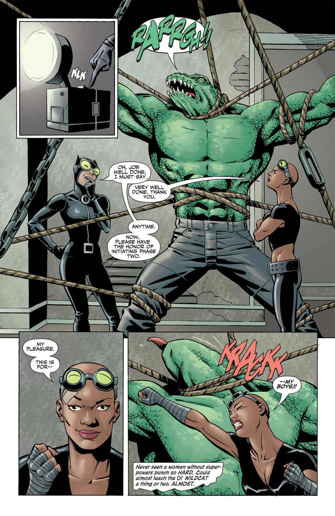 Read online Catwoman (2002) comic -  Issue #43 - 22