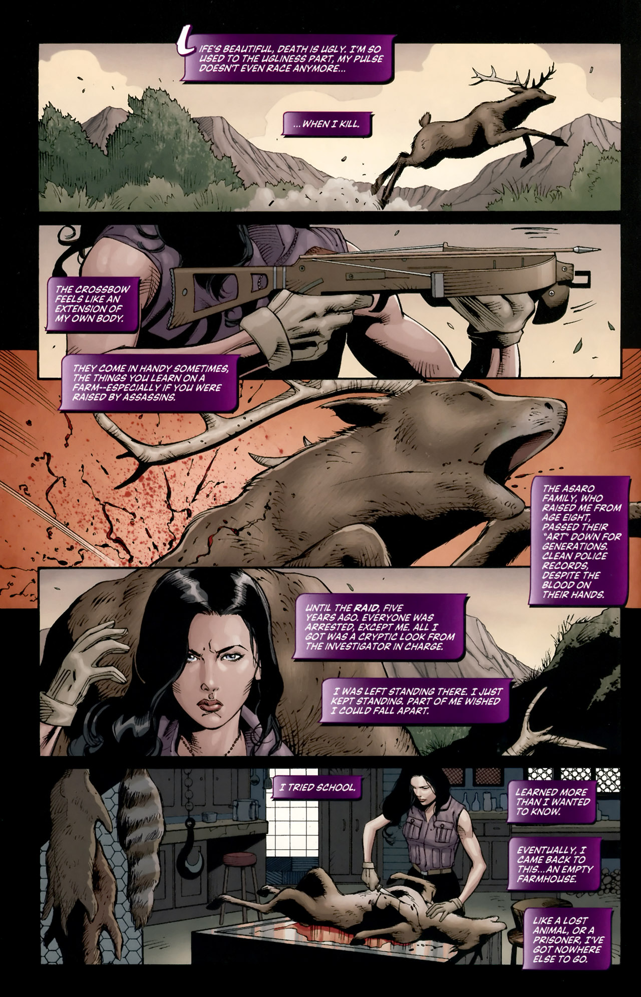 Read online Huntress: Year One comic -  Issue #1 - 3