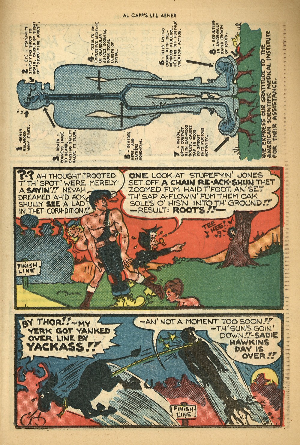 Read online Li'l Abner Comics comic -  Issue #80 - 25
