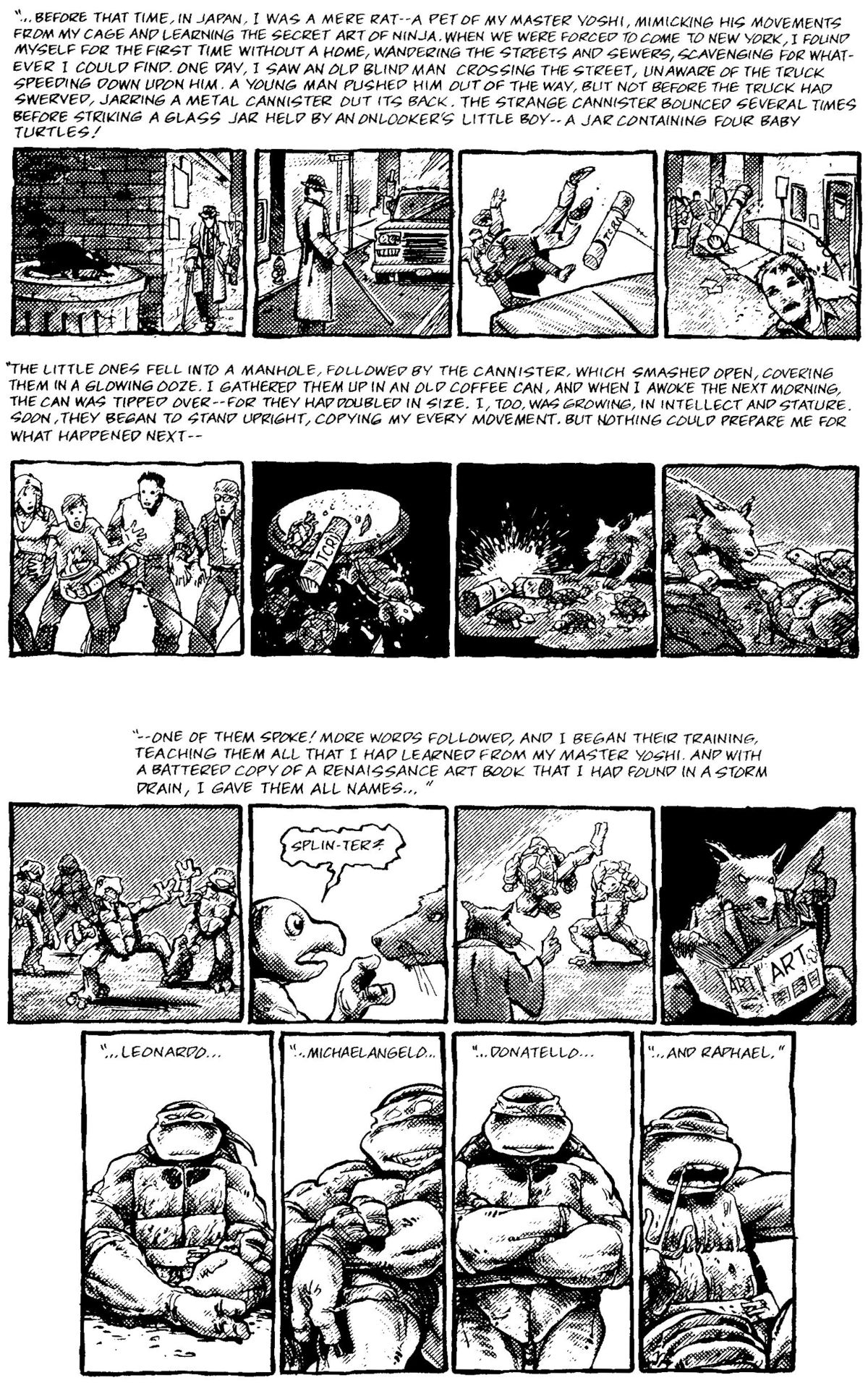 Read online Teenage Mutant Ninja Turtles: The Movie comic -  Issue # Full - 27
