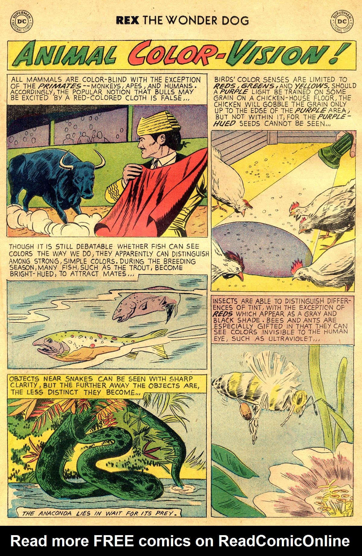 Read online The Adventures of Rex the Wonder Dog comic -  Issue #34 - 22